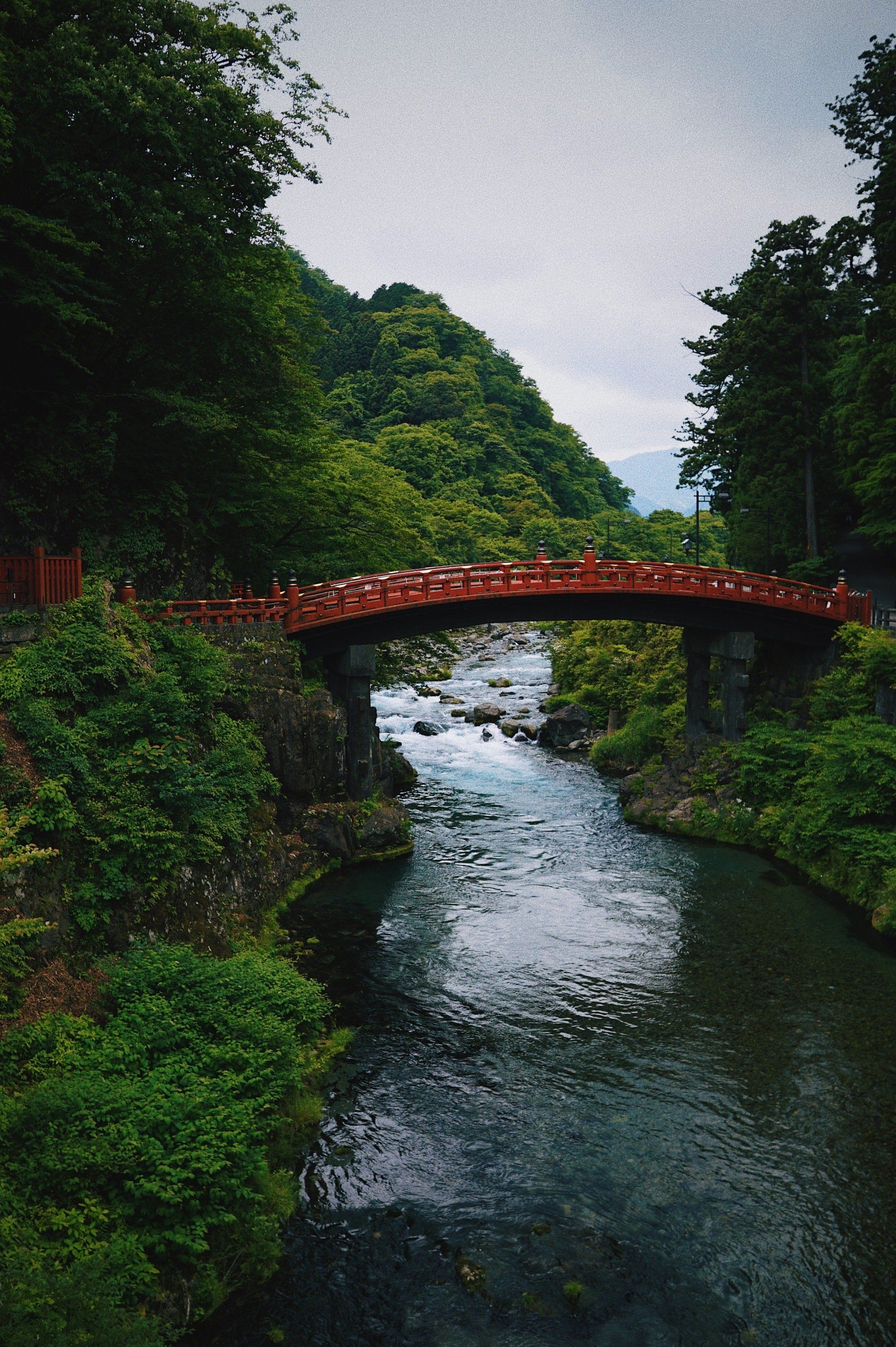 Red arched bridge over a river in a lush green forest canyon