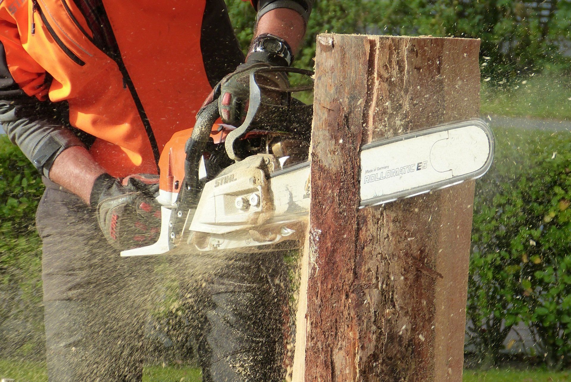 Chainsaw Coruse
