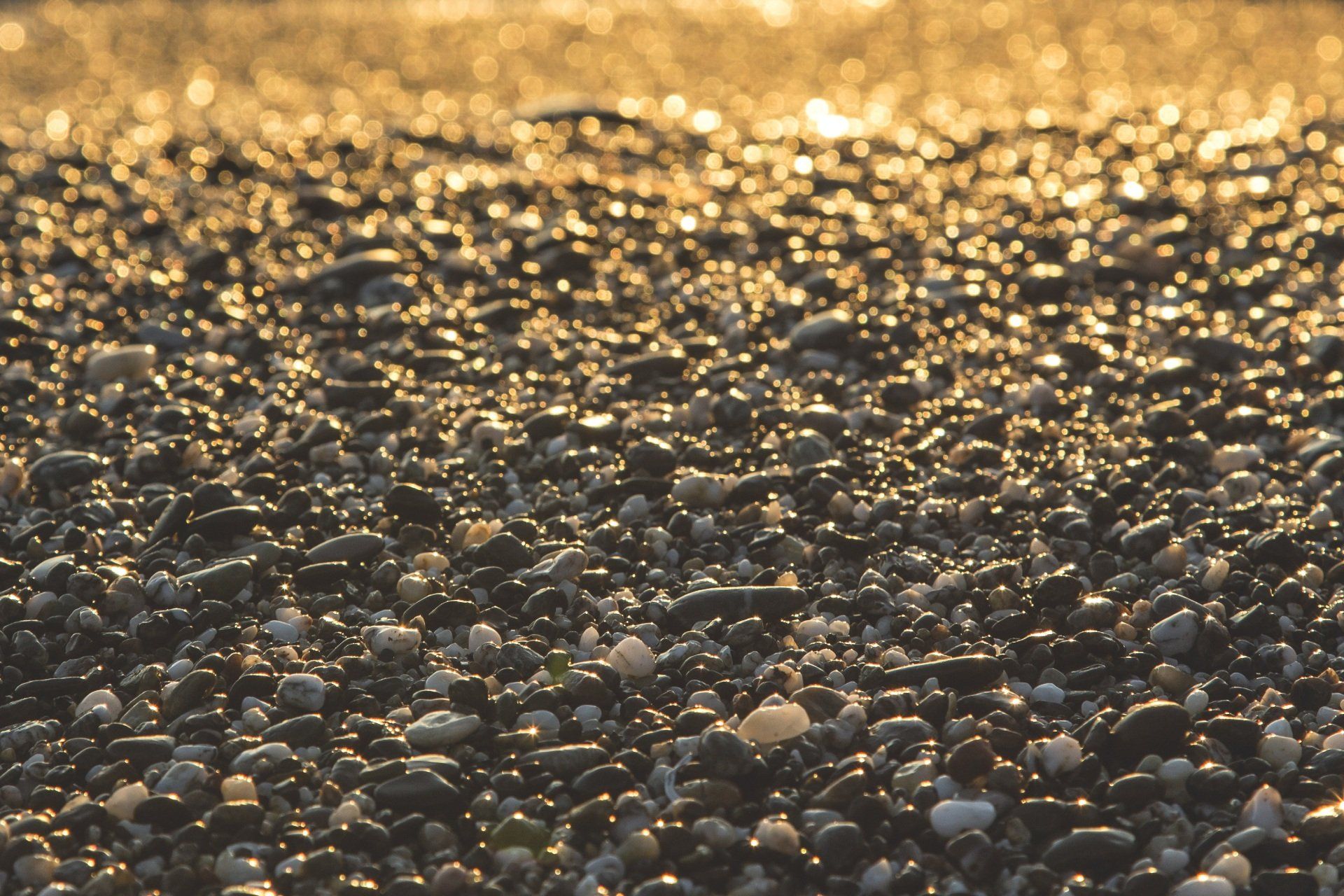 Sunlit pebbled beach with shimmering golden reflections