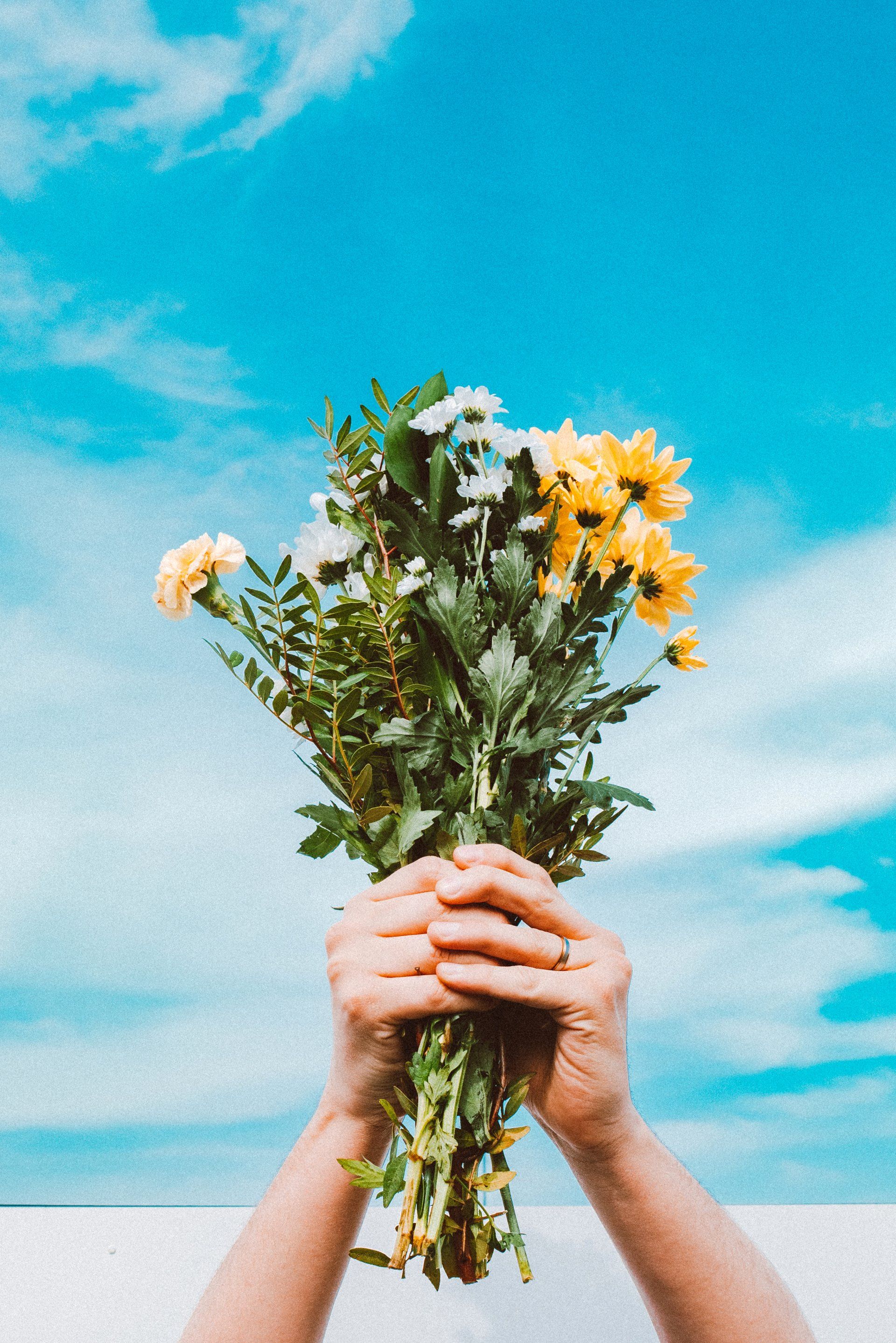 flowers
