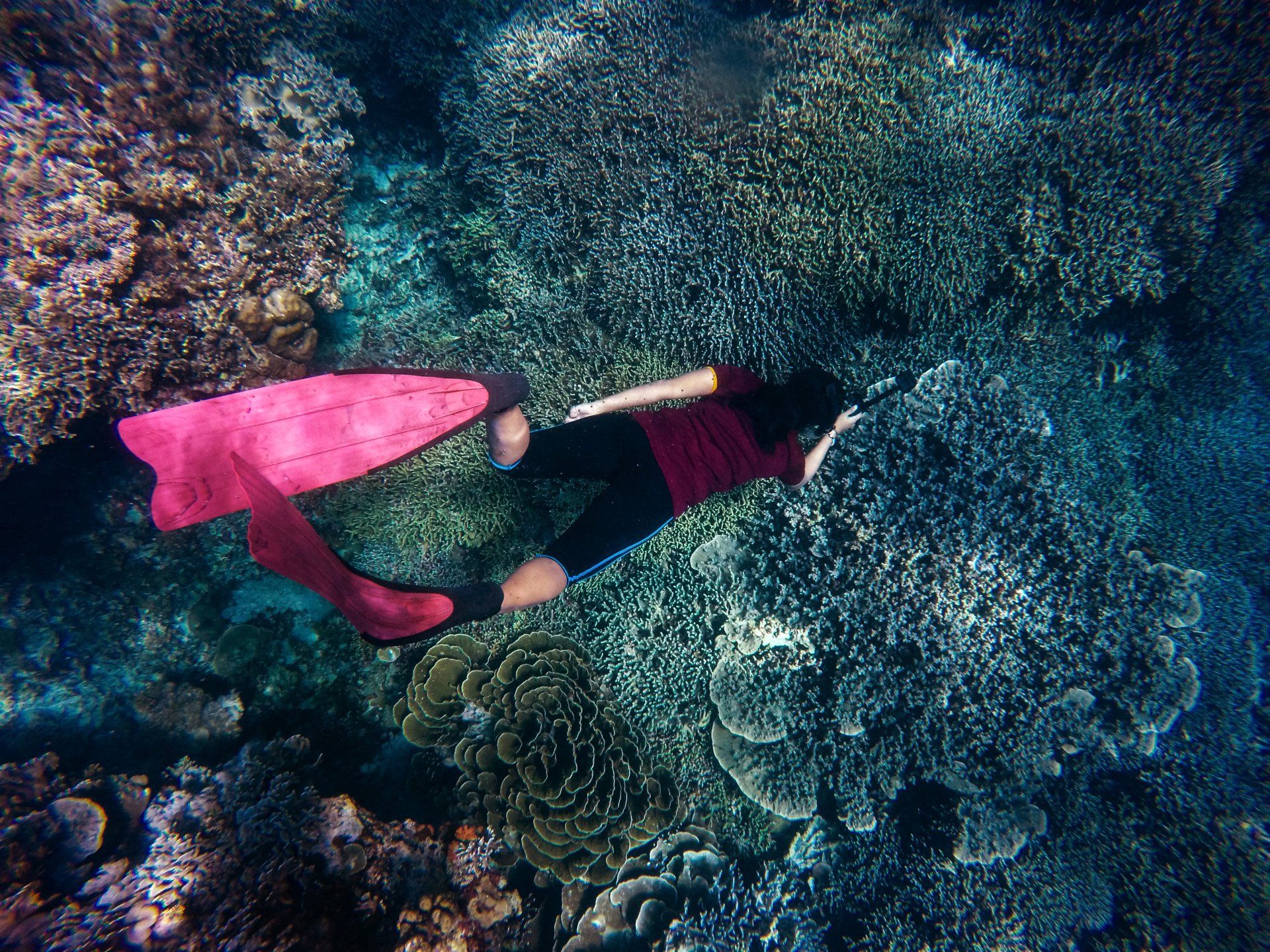 Woman snorkeling above coral