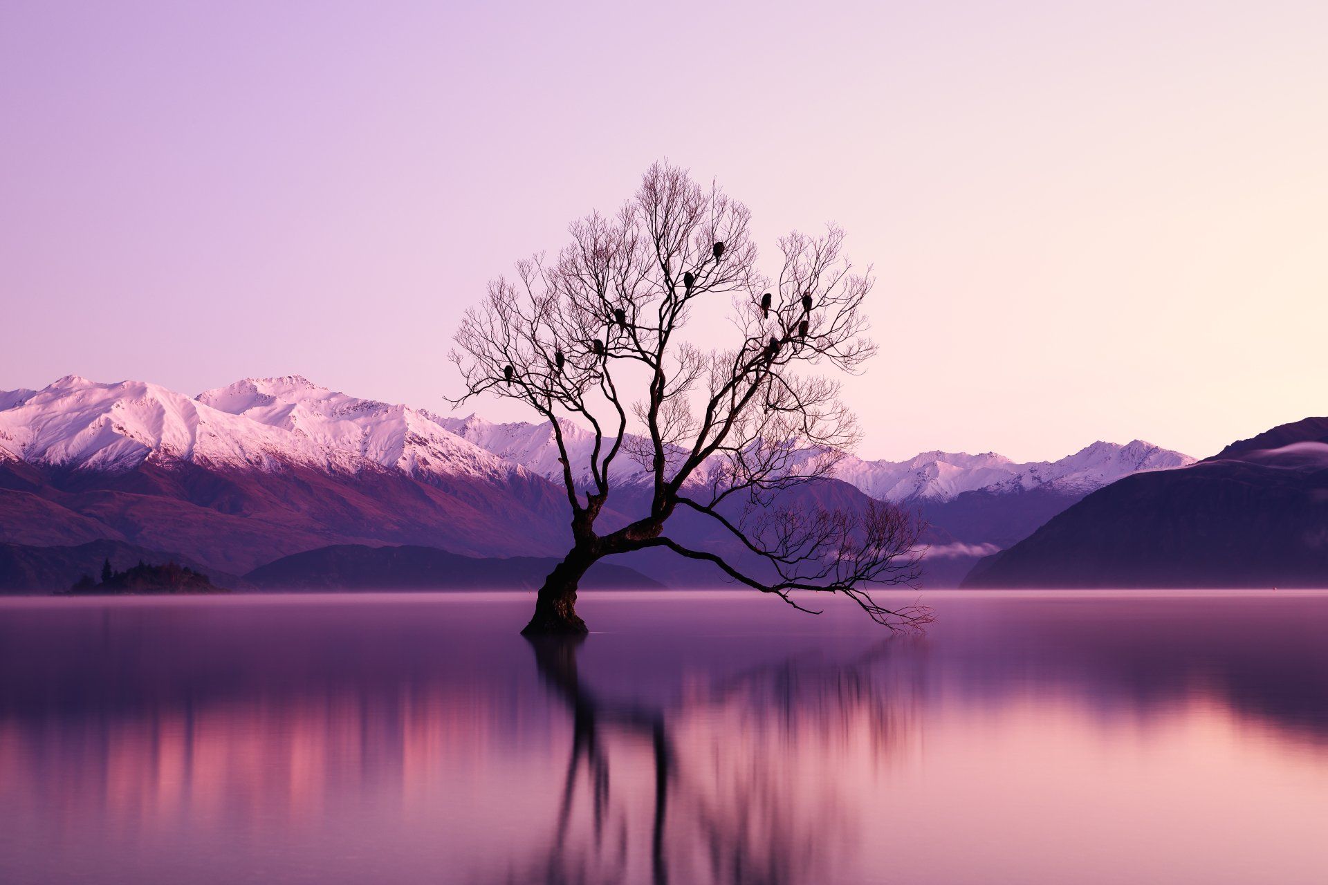 As the twig is bent, so grows the tree