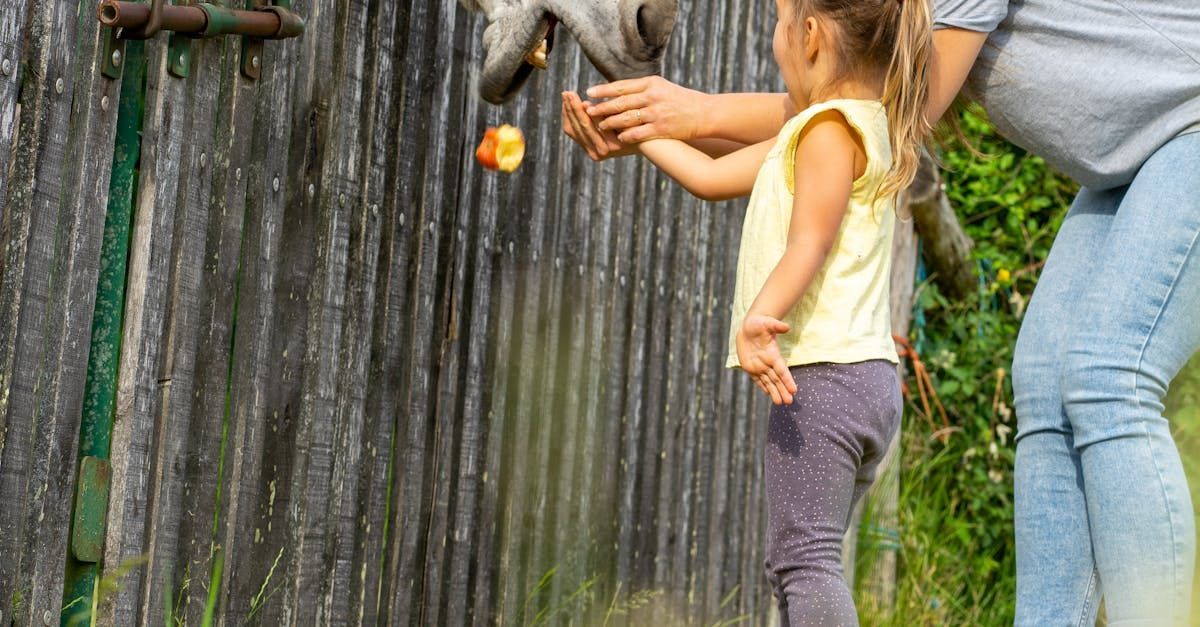 What To Do About A Grey Fence | Bracknell Fence Experts