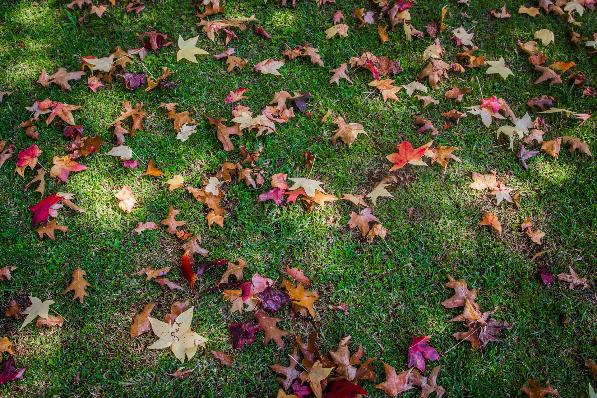 fall home checklist from Clean Earth Septic Services