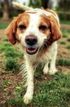 Veterinarian talks about how We See You Solutions improved her practice.