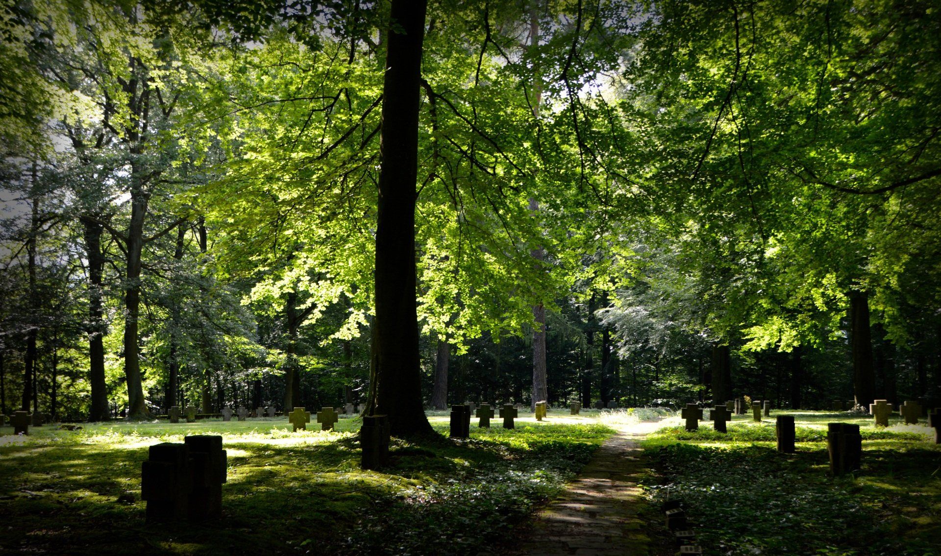 The sun is shining through the trees in a cemetery.