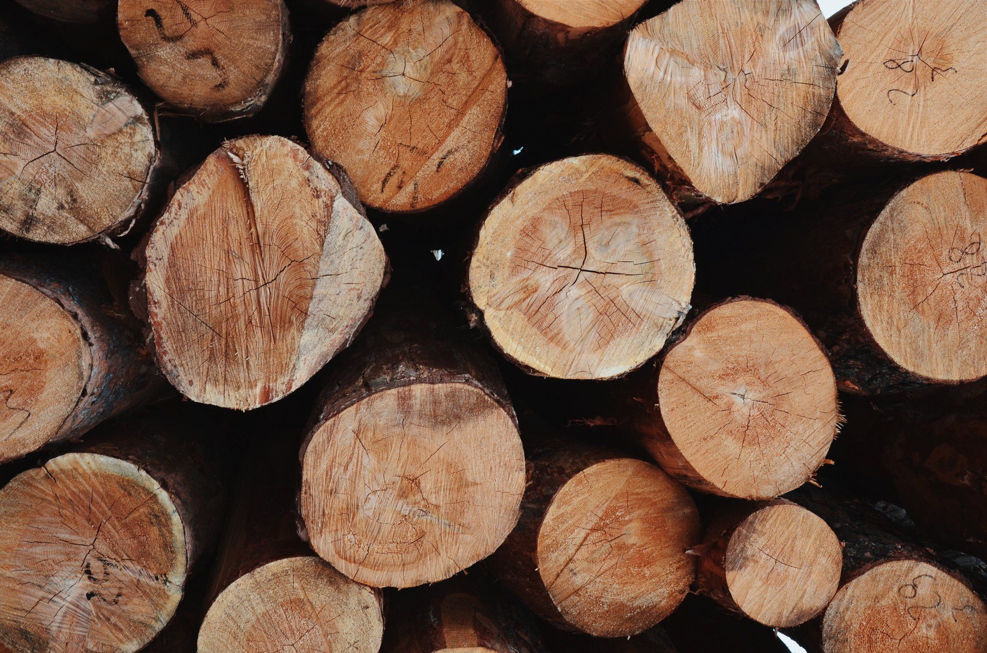 A pile of logs stacked on top of each other.