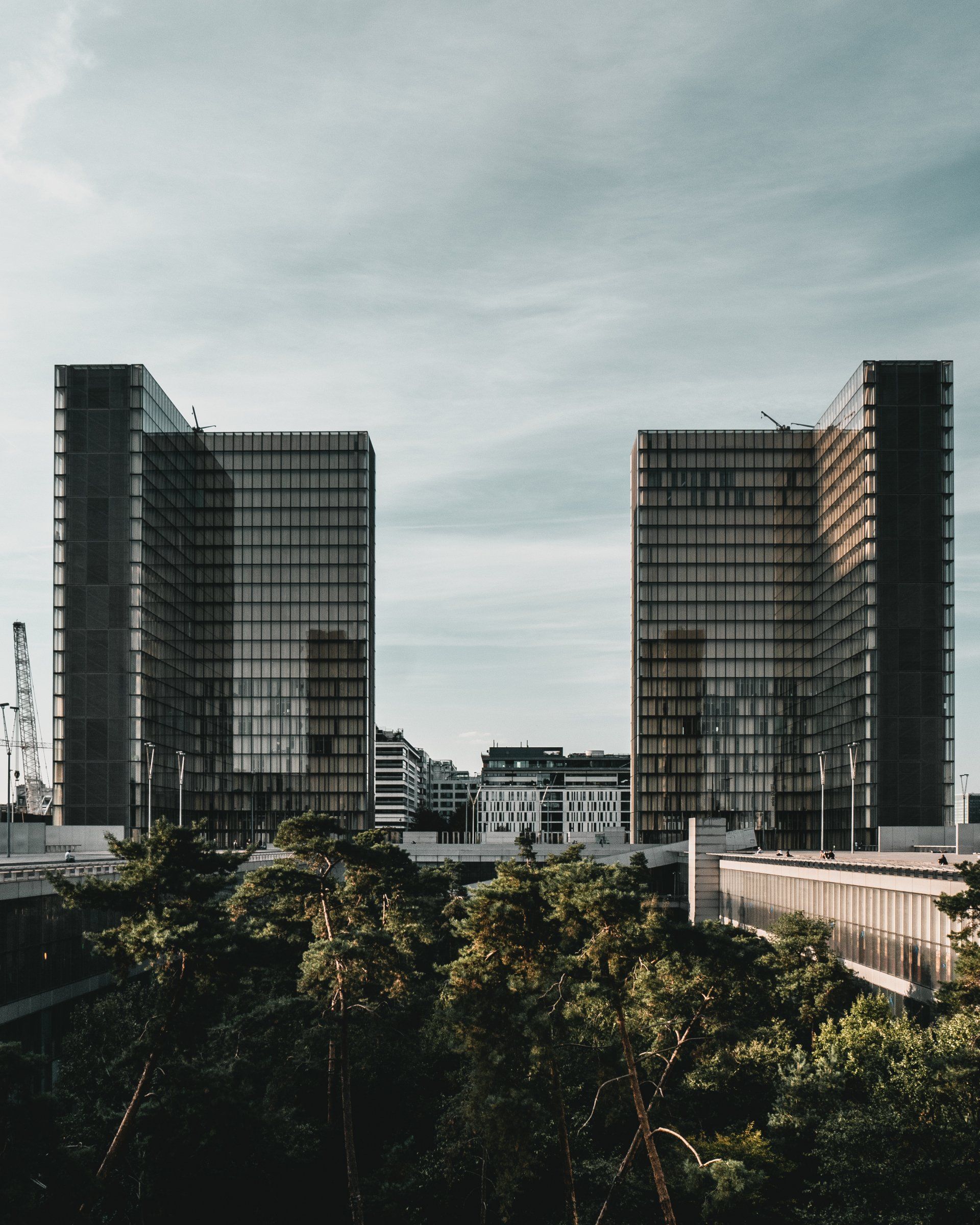 Two tall modern buildings framing a city skyline above dense green trees under a cloudy sky