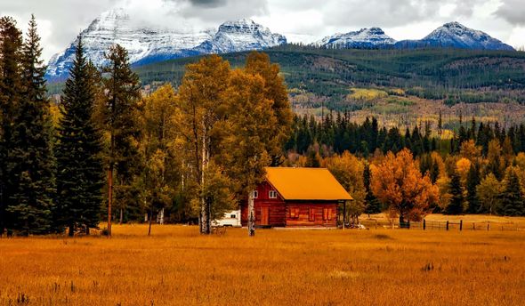 cabin