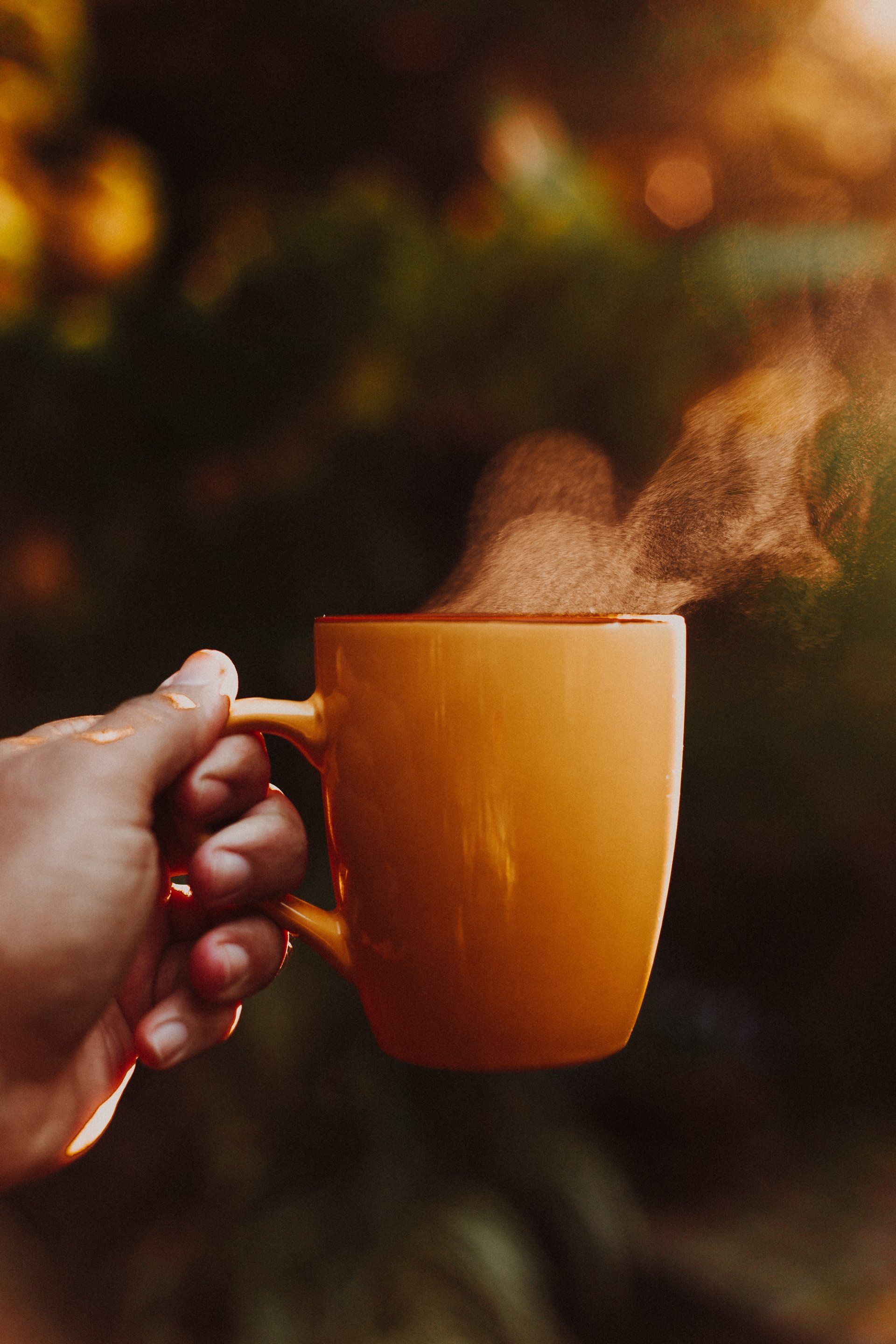 fresh cup of coffee