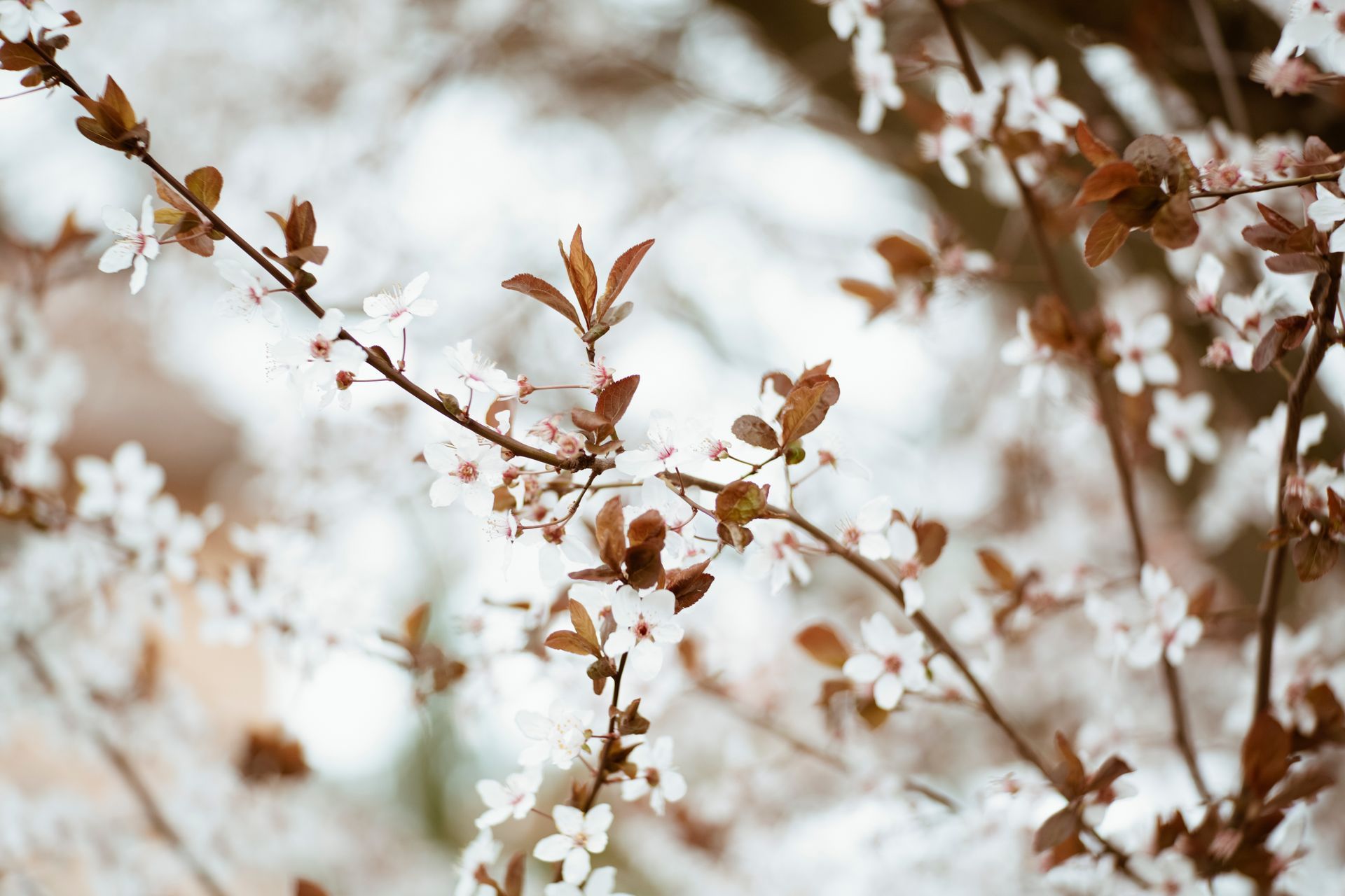 3 Ways The Transition To Spring Affects Your Skin | The Base Skincare Derby