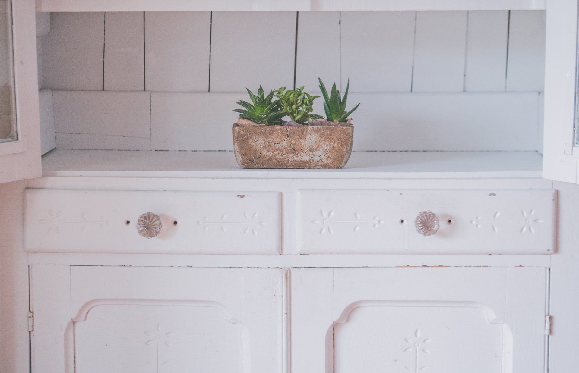 A Potted Plant is Sitting on Top of a White Cabinet — Dynamic 2-Pack In Rockville, QLD