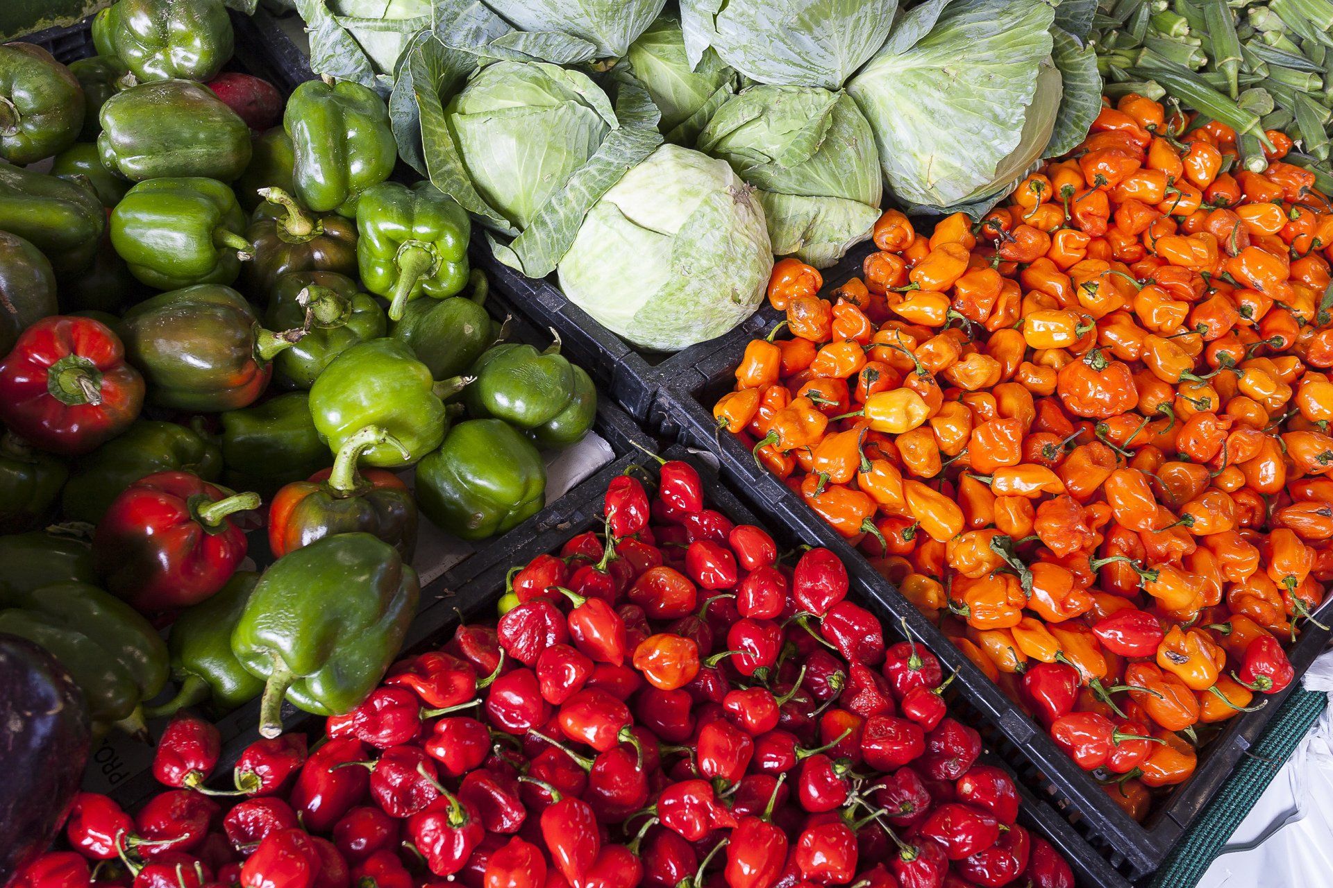 A variety of fruits and vegetables including peppers and cabbage