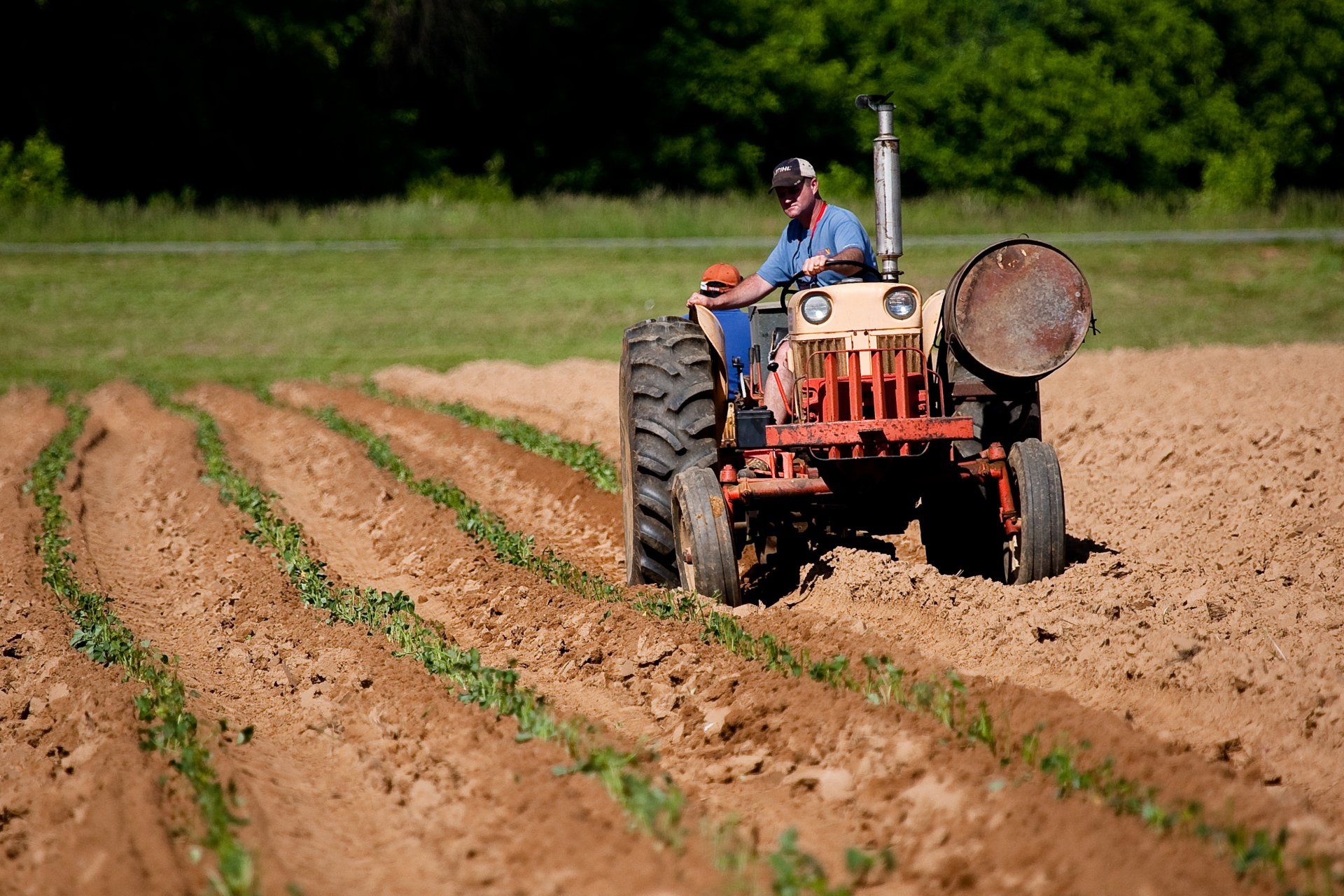A man is plowing a field with an old tractor