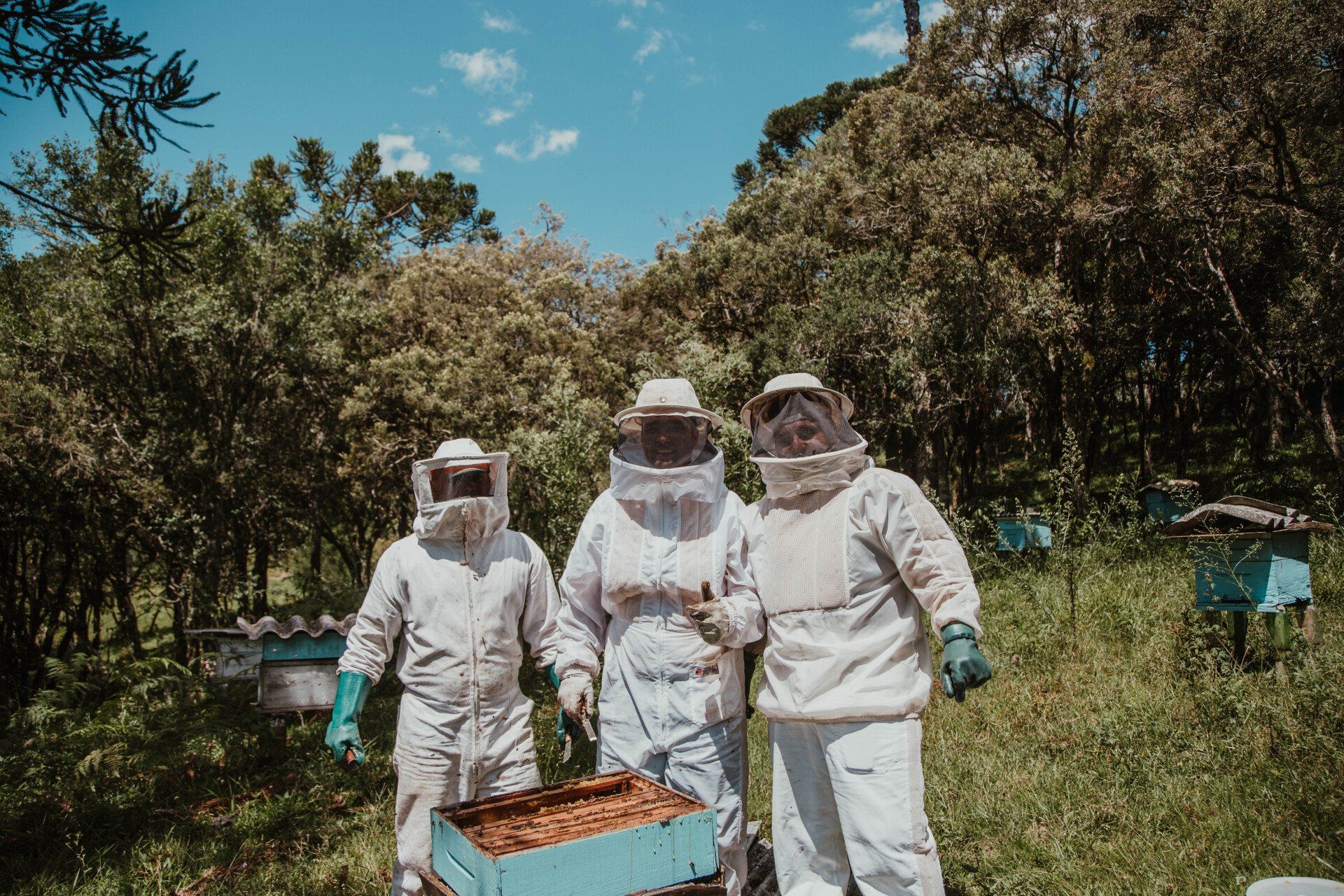 The Bee Partner Beekeepers