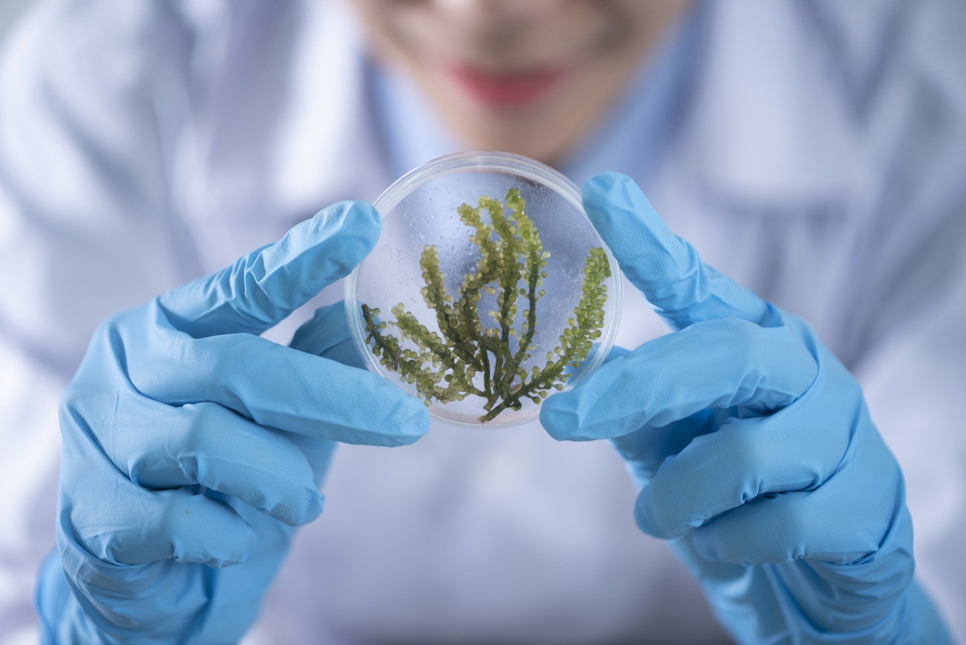 A scientist is holding a petri dish with a plant in it.