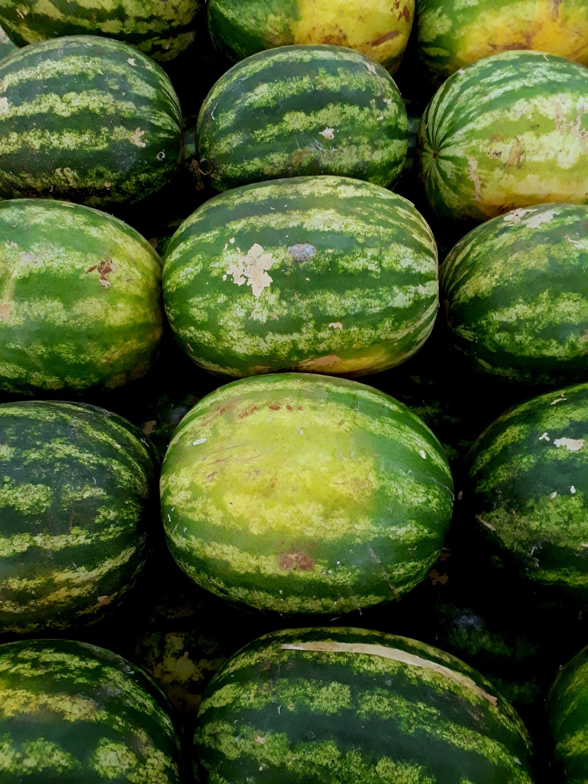 Banca do Juca