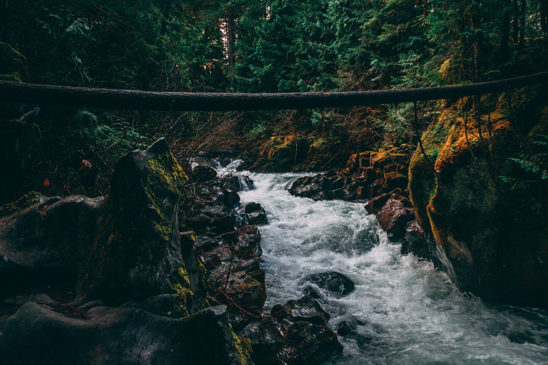 A rushing stream flows through a dark, mossy forest, crossed by a horizontal log suspended in the air above the water.