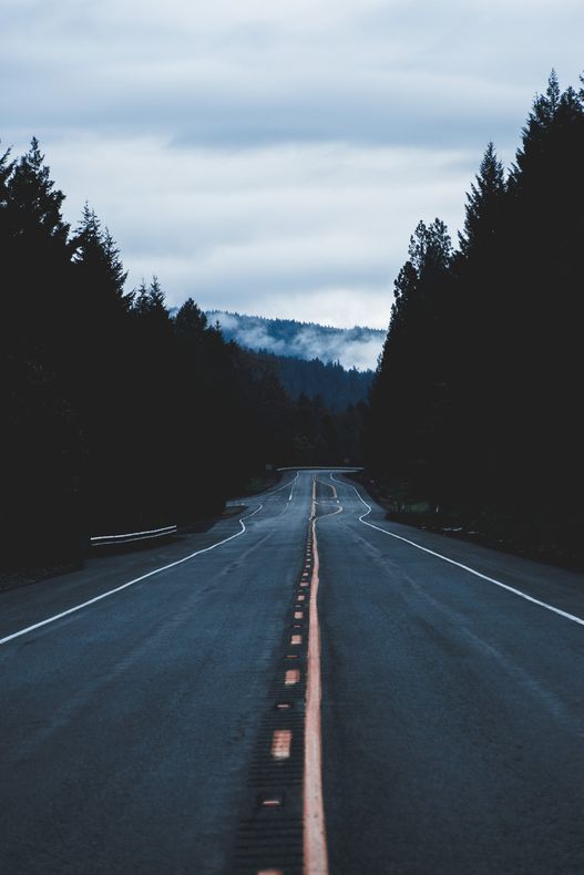 A road with trees on both sides and mountains in the background
