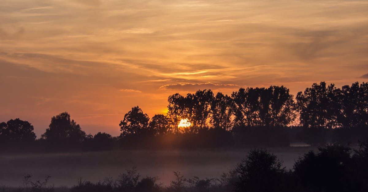 Morning sunrise behind trees - Encouragement to Trust and Call on Jesus