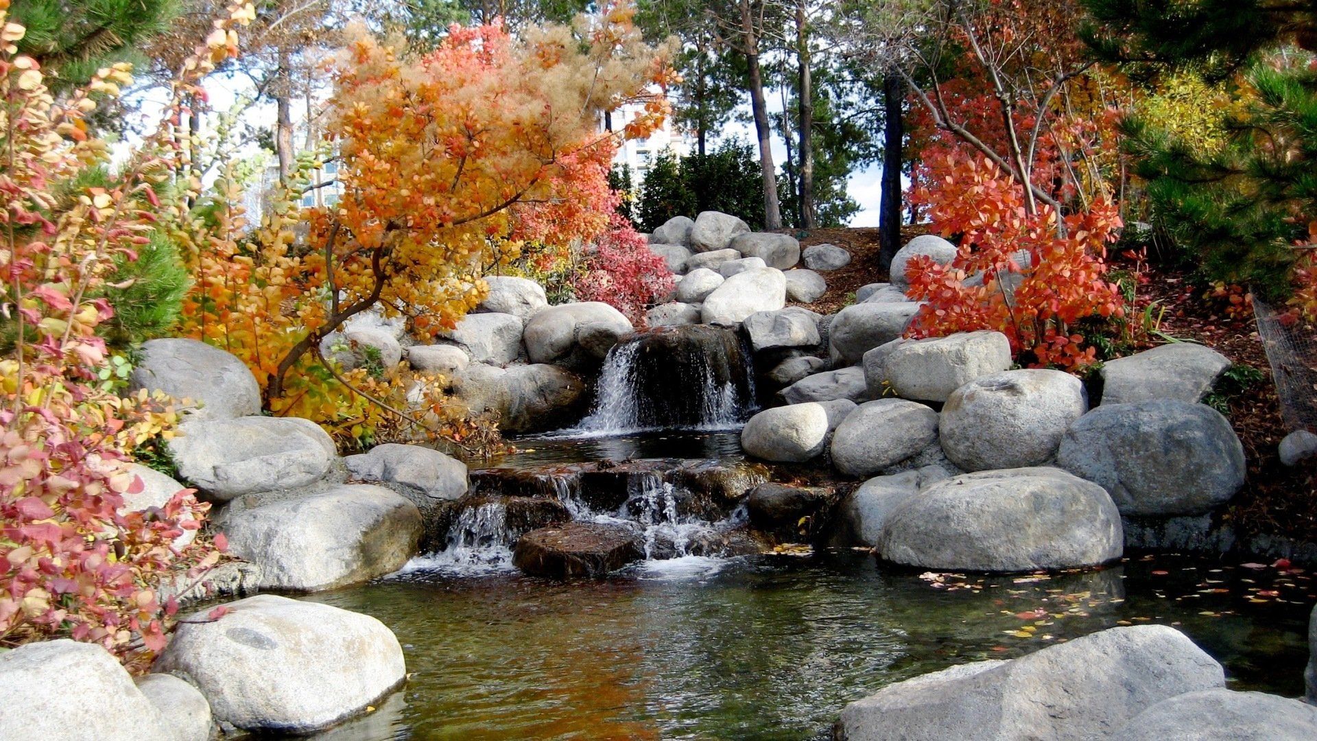 Small garden waterfall flowing over rocks, surrounded by colorful autumn foliage and a pond.
