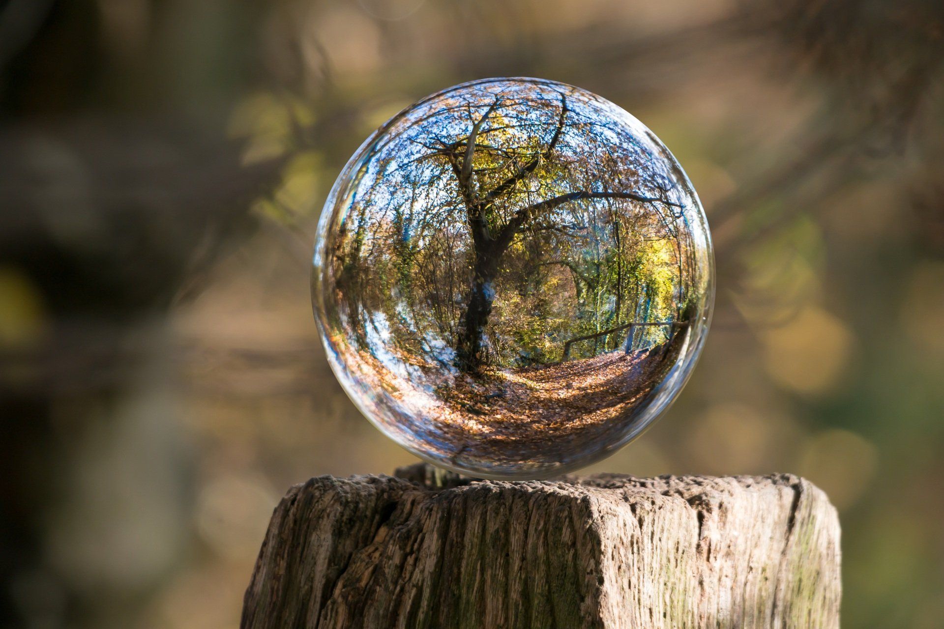Green Burial Options at Interra Green Burial in MN
