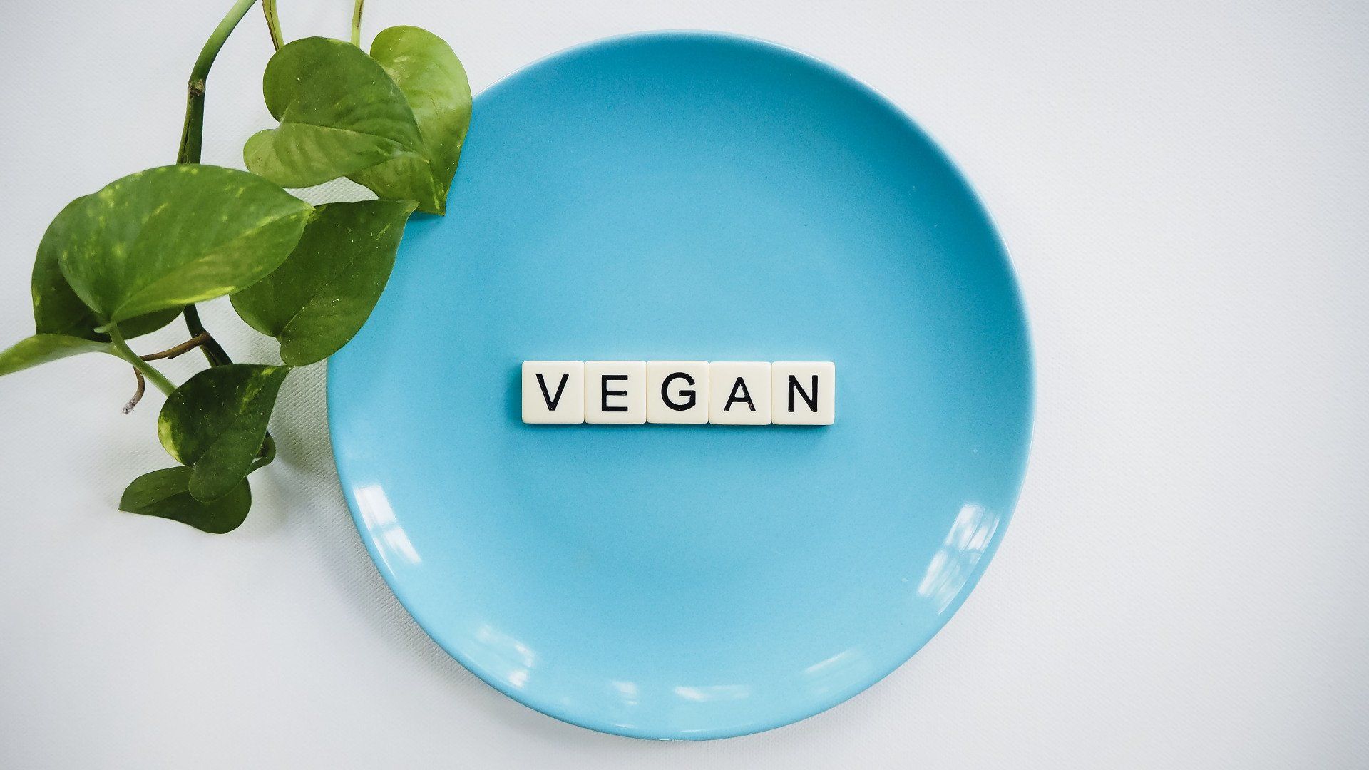 For veganuary we have used GMAP's LeisureVision restaurant location data to establish where the UK Vegan hotspot is