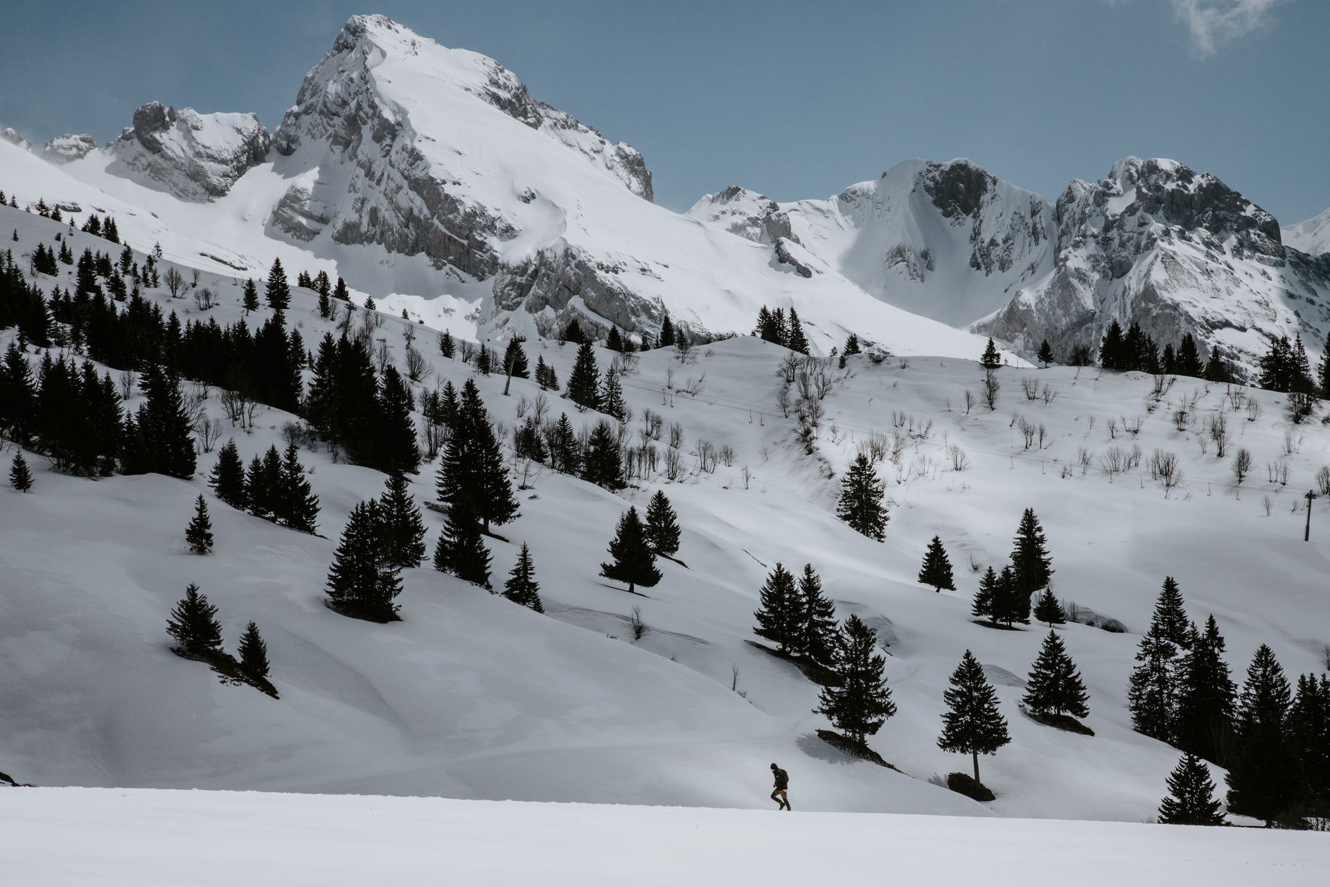 A snowy mountain with trees on the side of it