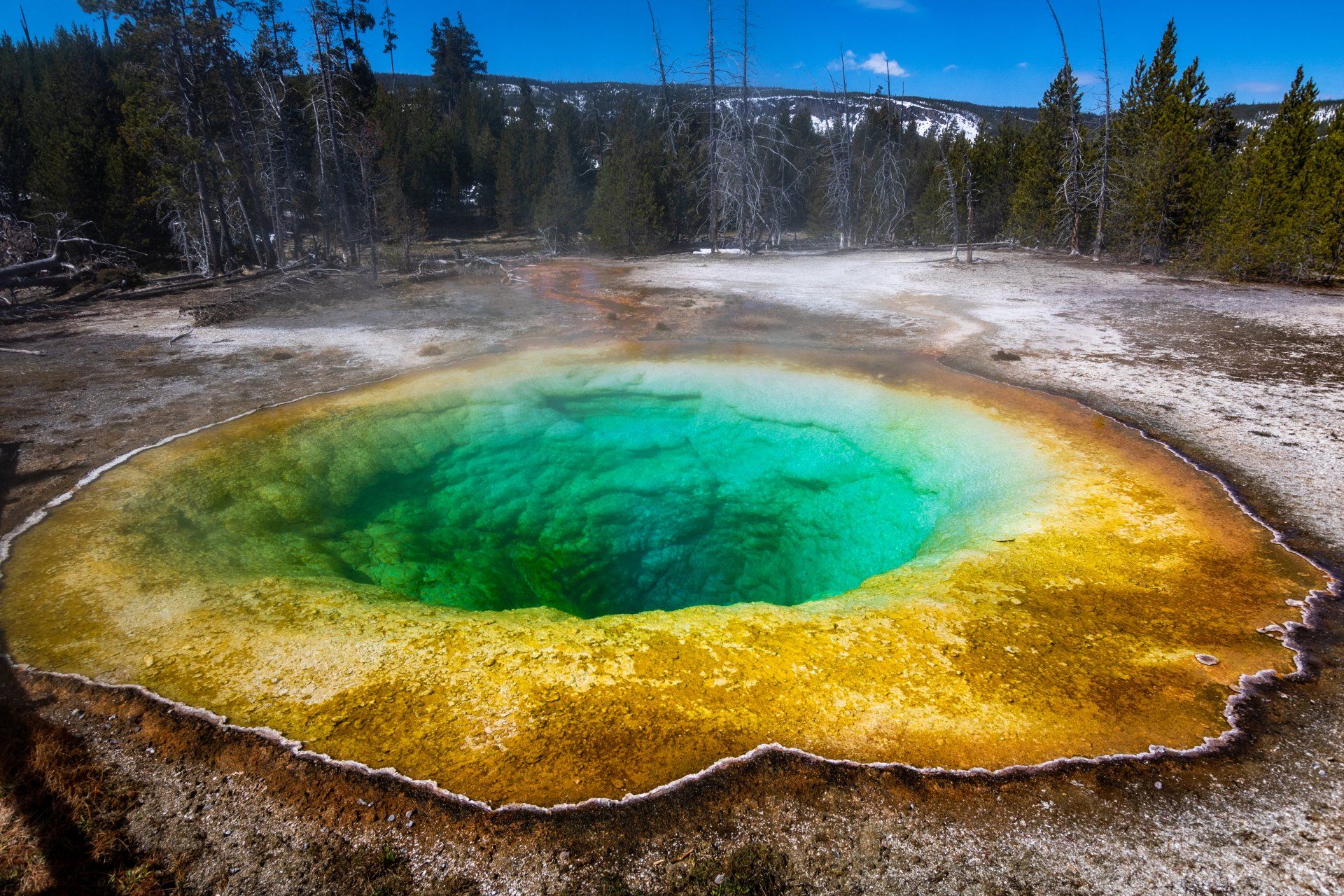 A large colorful pool of water in the middle of a field