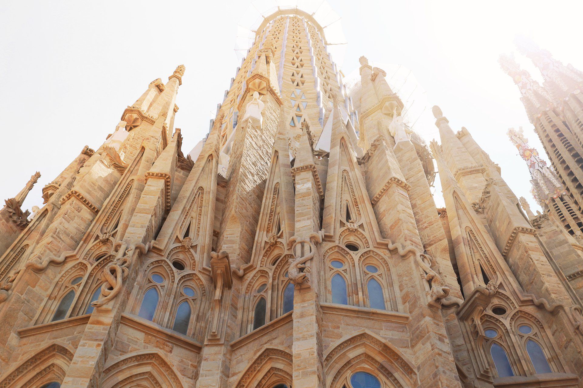 The sun is shining through the windows of the sagrada familia cathedral.