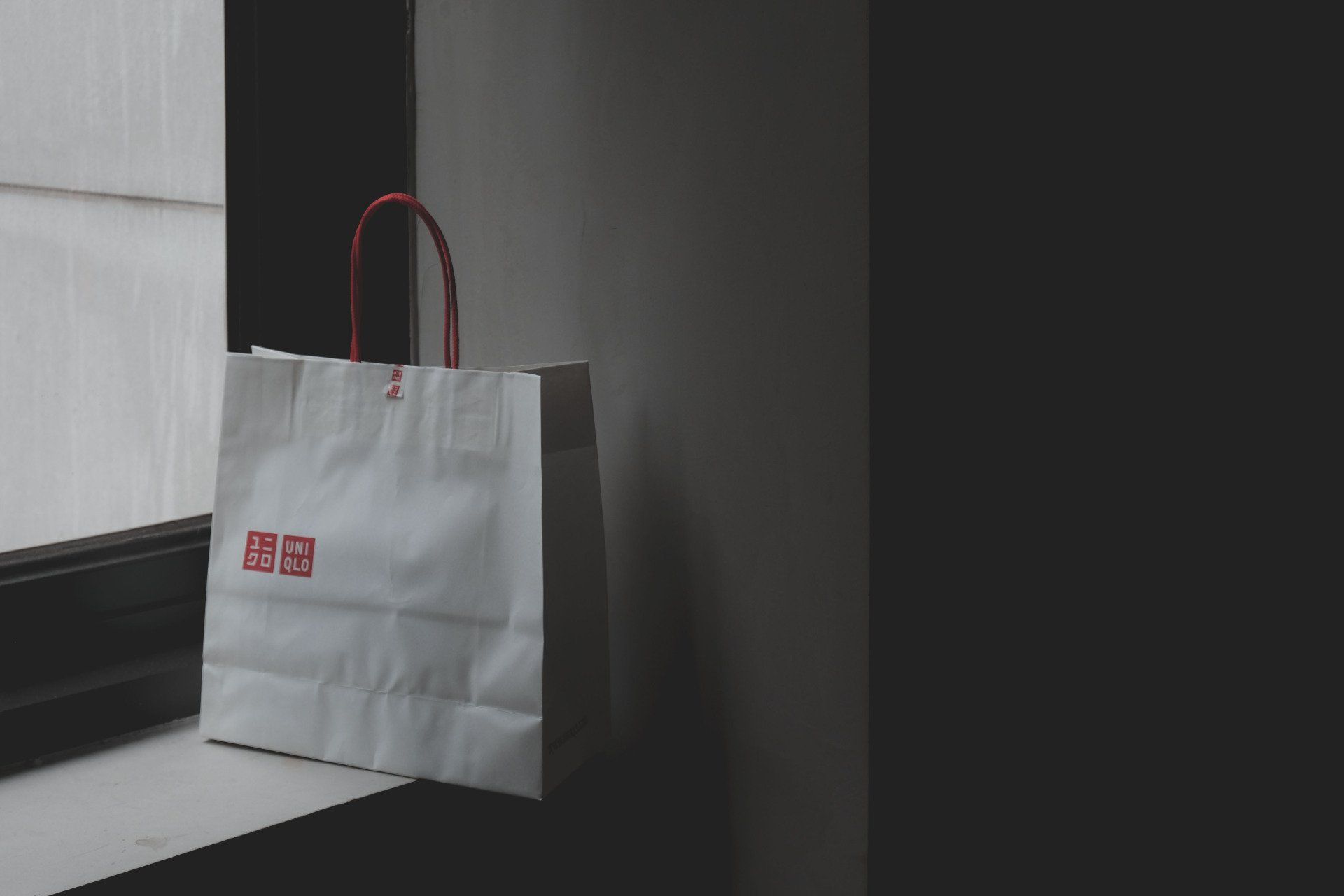 bag representing the nature of the article