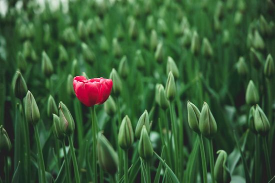 Stand out in the crowd with a dynamic nonprofit website
