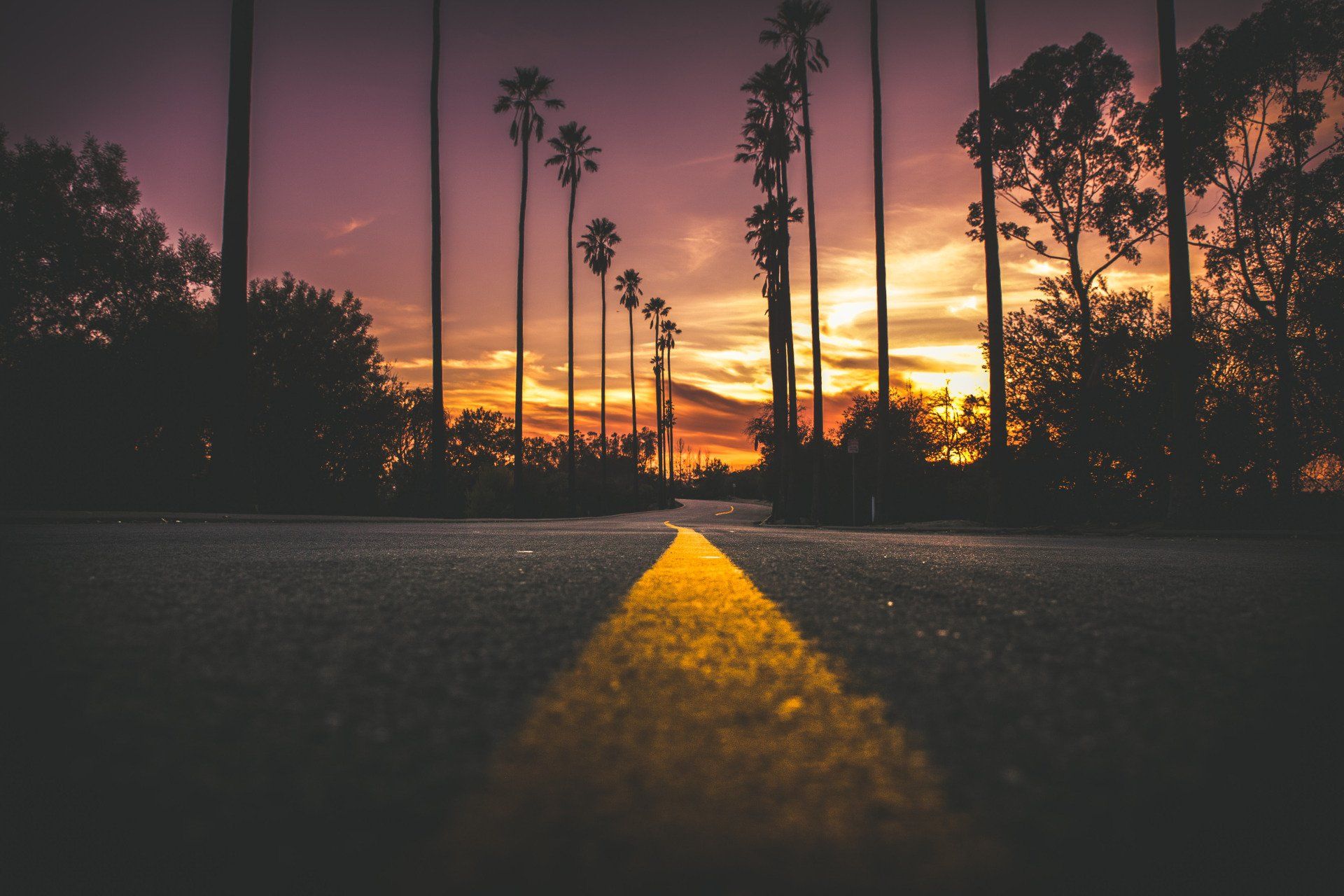 A road with palm trees on the side of it at sunset.