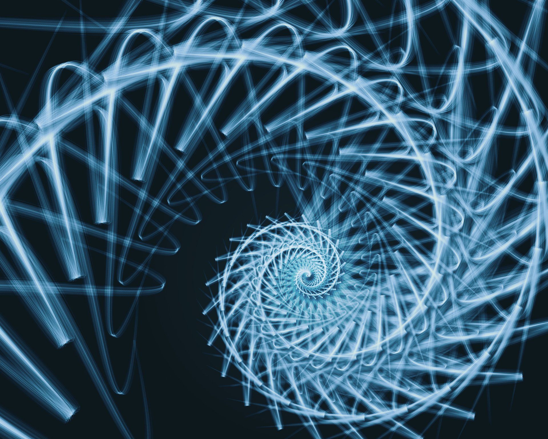 Nautilus