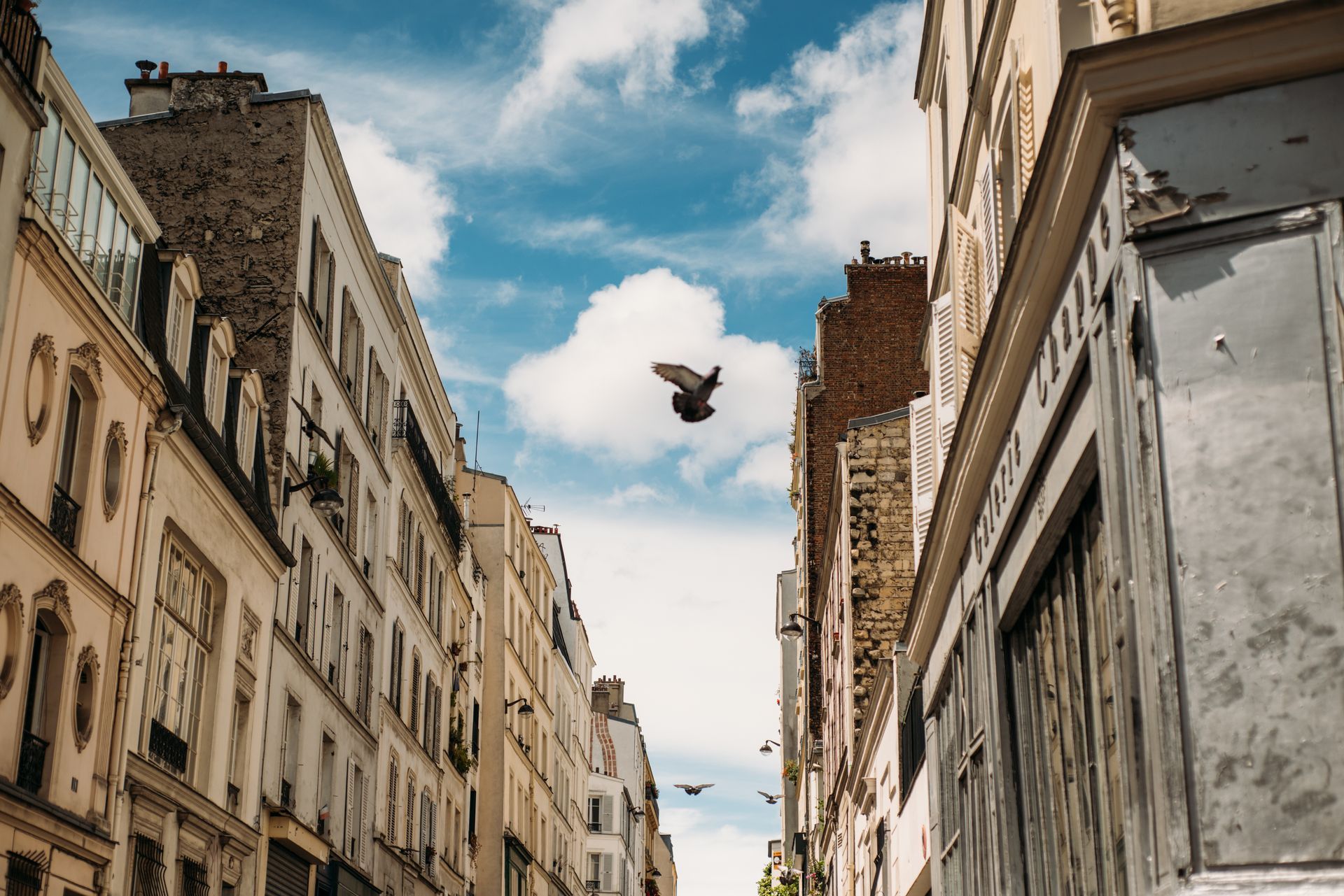 A pigeon is flying through the air between two tall buildings.