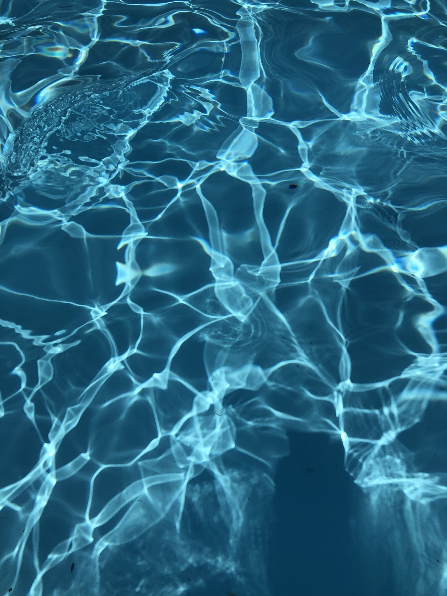 a woman in a bikini is sitting on the edge of a swimming pool .