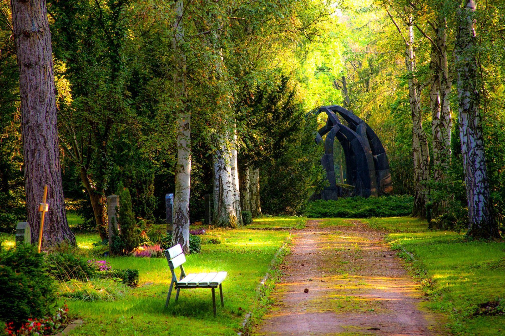 storskalig parkmiljö som för tankarna till ett arboretum - en trädsamling