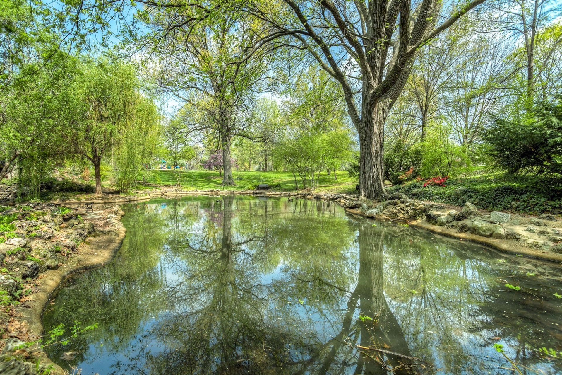 A pond in a park with trees reflected in the water.