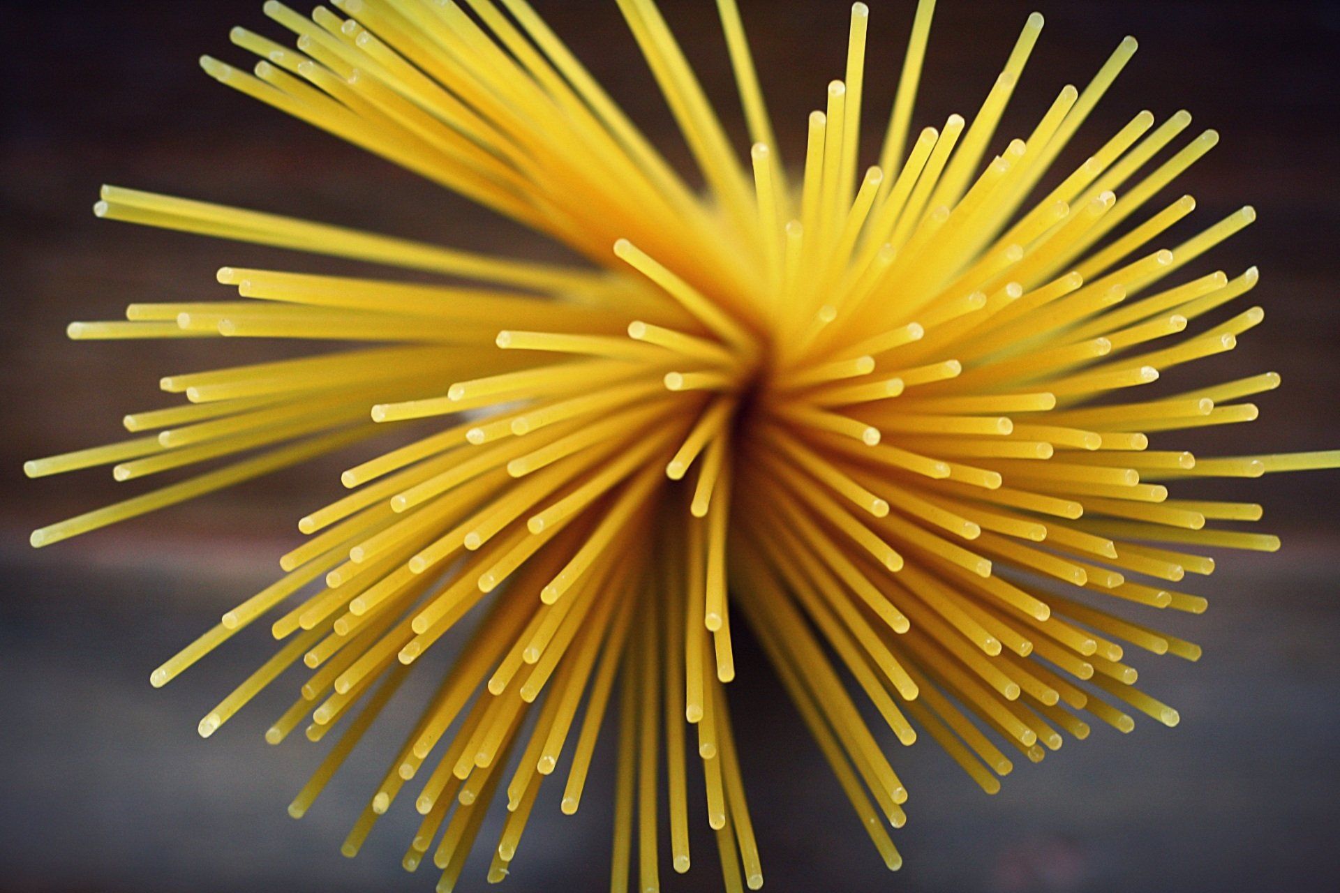 Spaghetti Spaghetti
