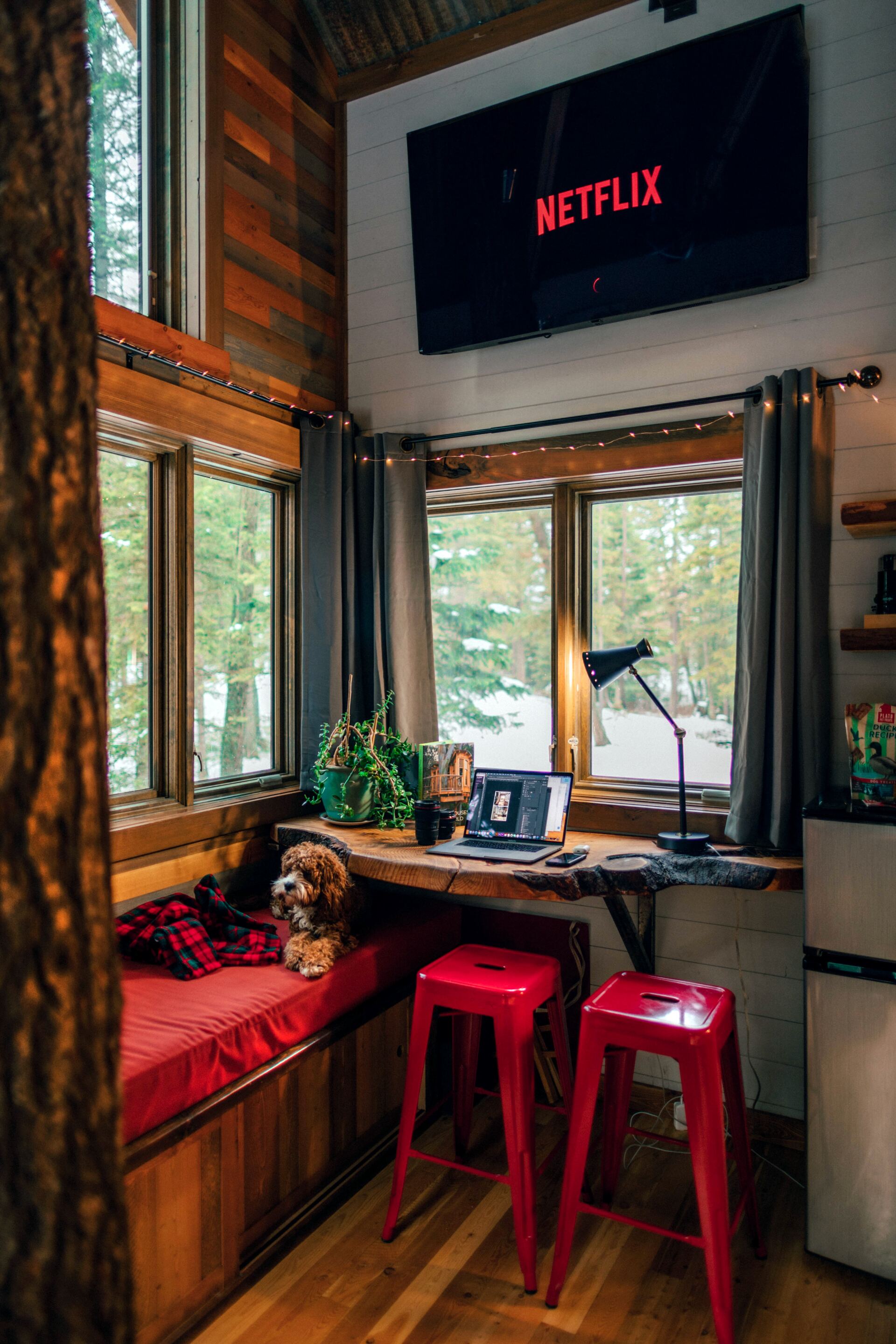 office windows with curtains