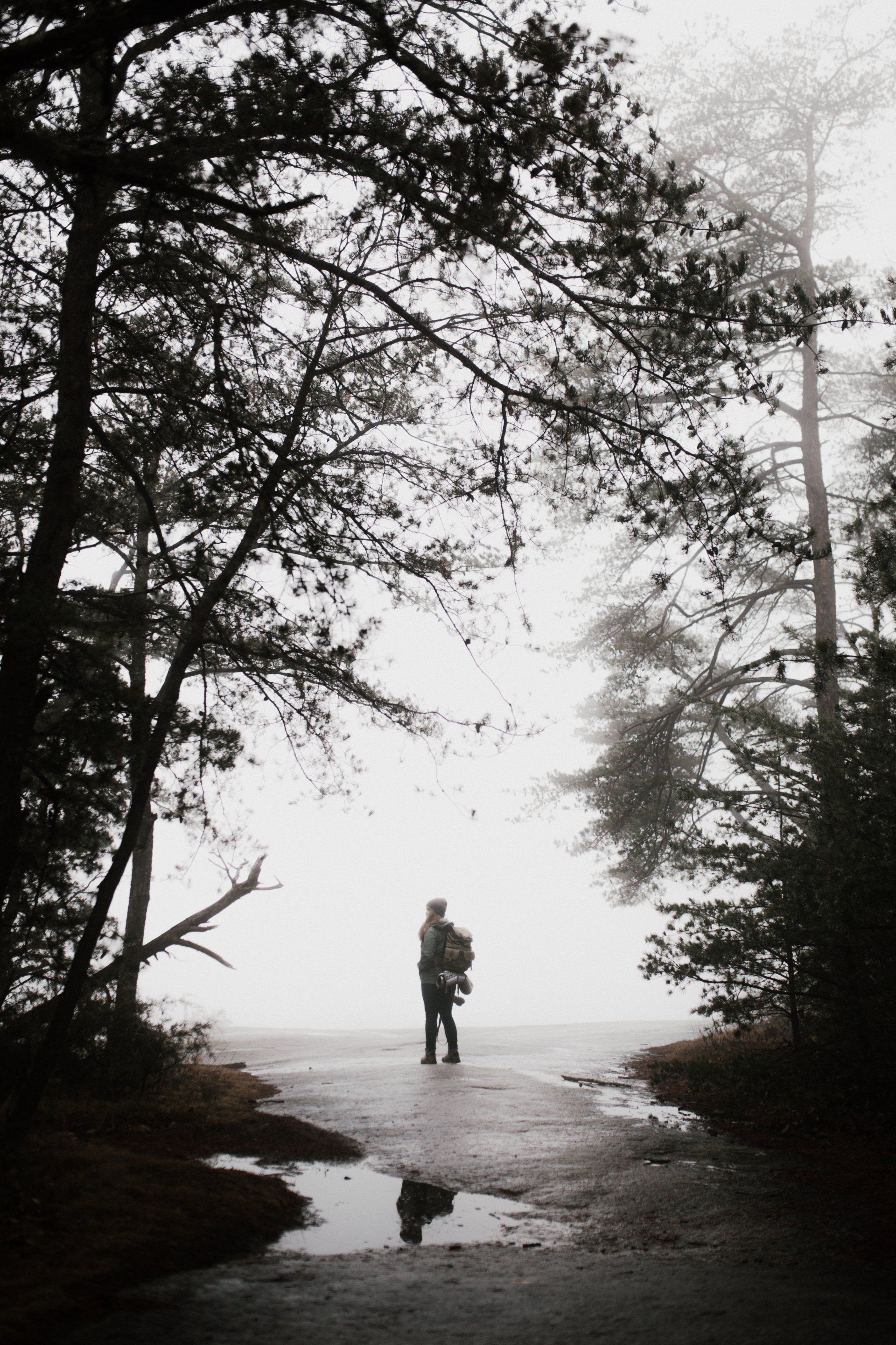 Endeavour Counseling - What is anxiety and panic disorder in Nashville, TN?