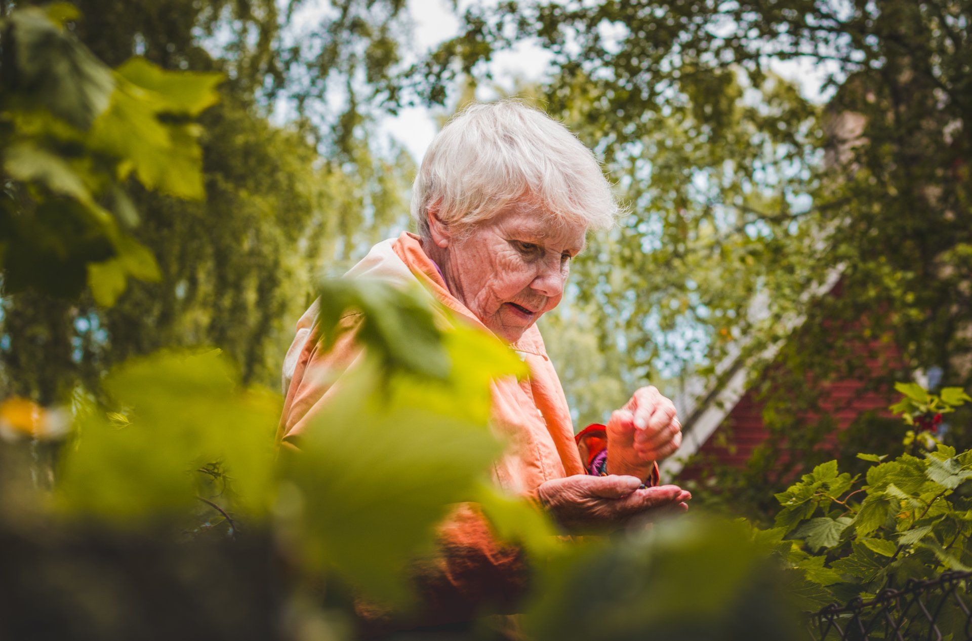 Adult Senior Addiction Treatment Programs near me in Massachusetts