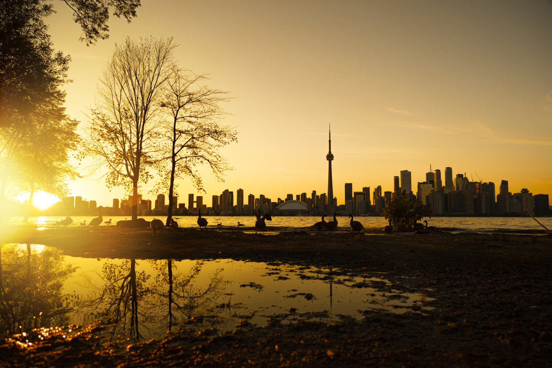 Canstudies - Estude e trabalhe em Toronto