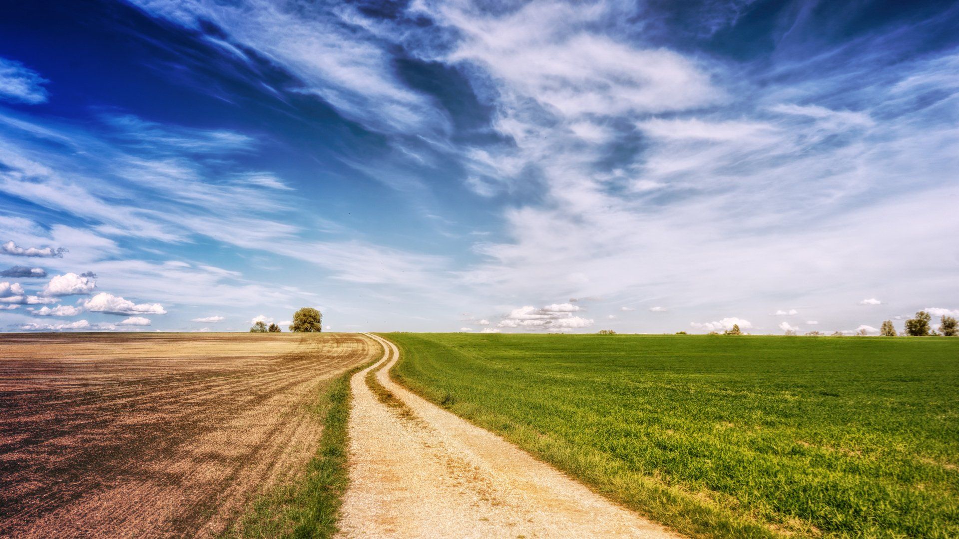 dirt road with green farmland and dirt