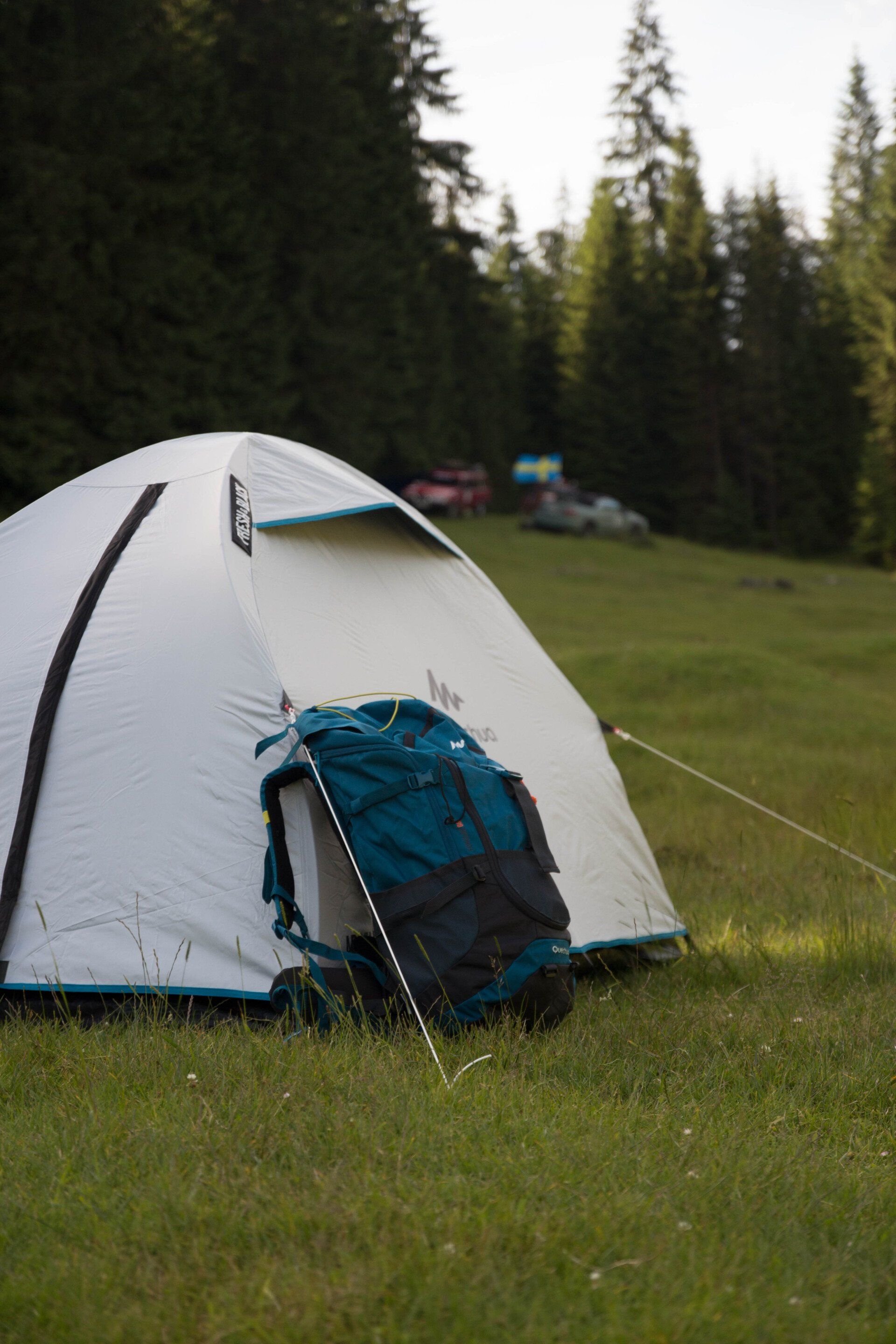 A white tent is sitting in the middle of a grassy field.