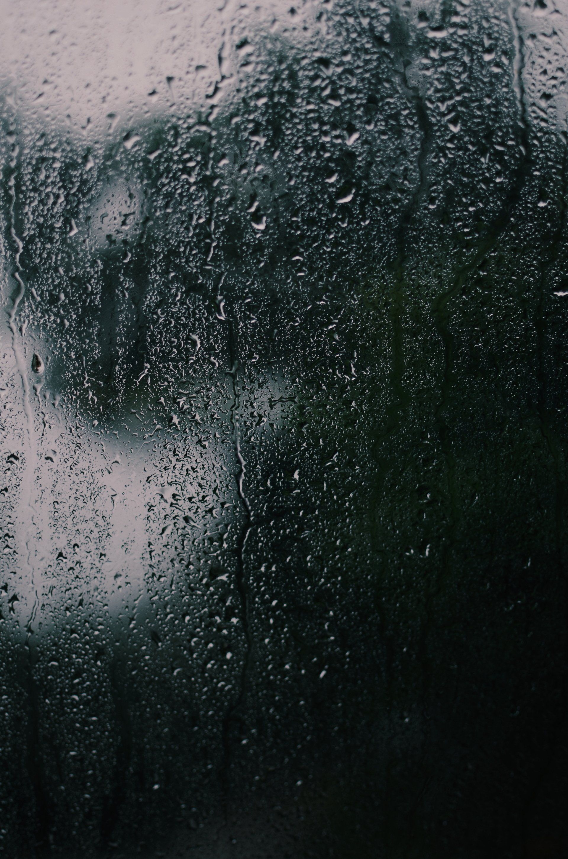 wet shower door