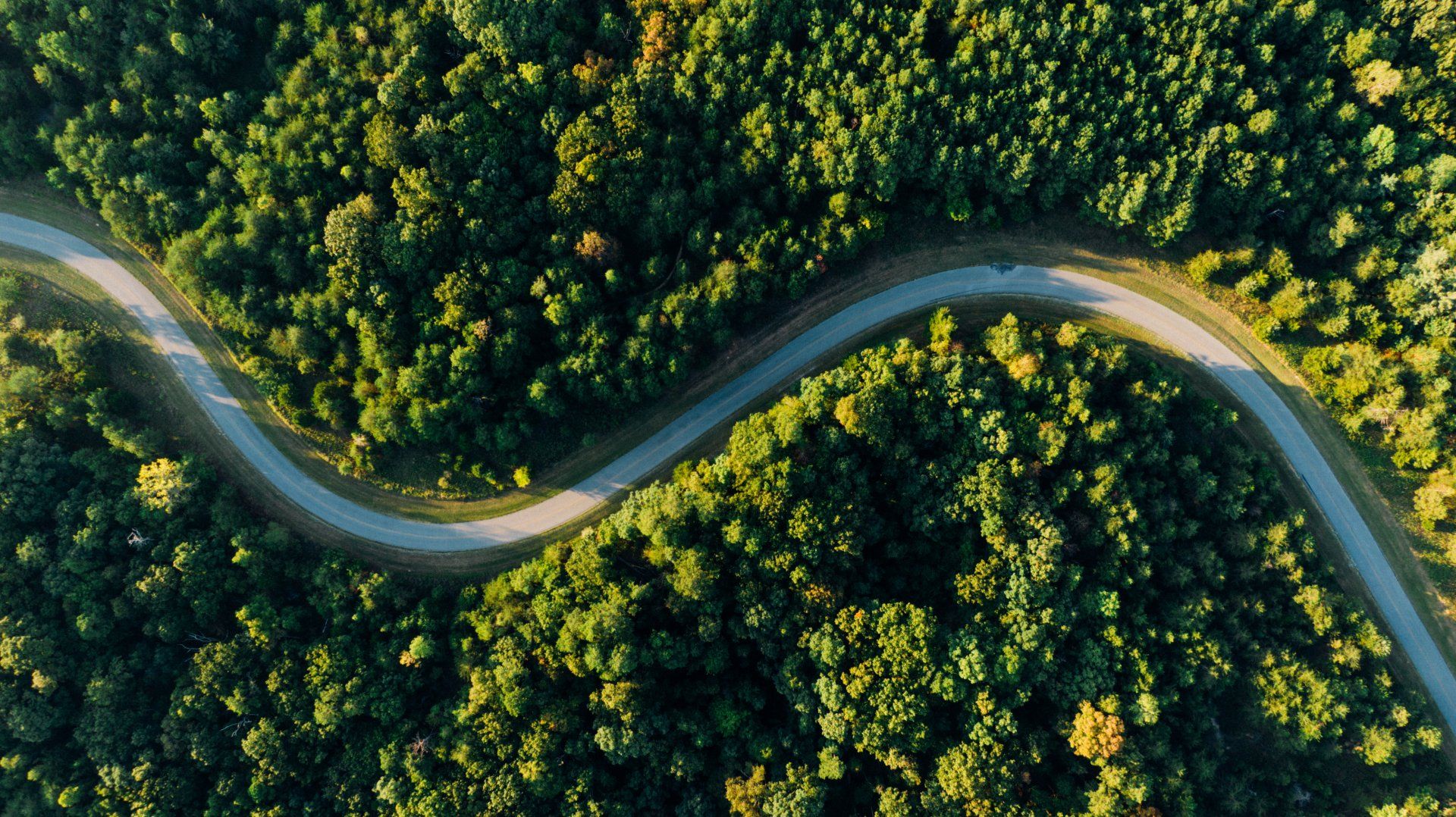 An aerial view of a winding road through a forest.