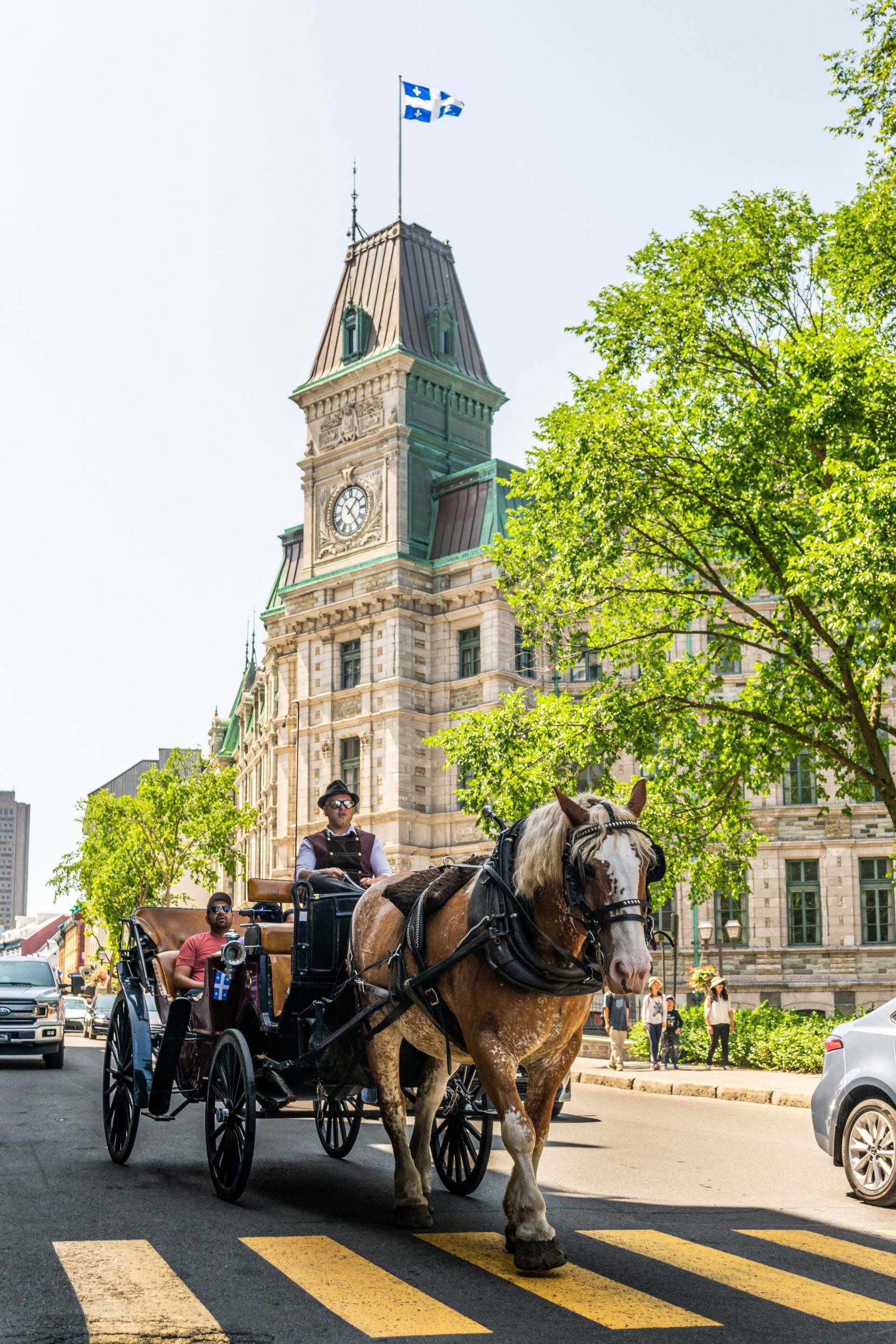 Canstudies - Estude e trabalhe em Montreal, Canadá