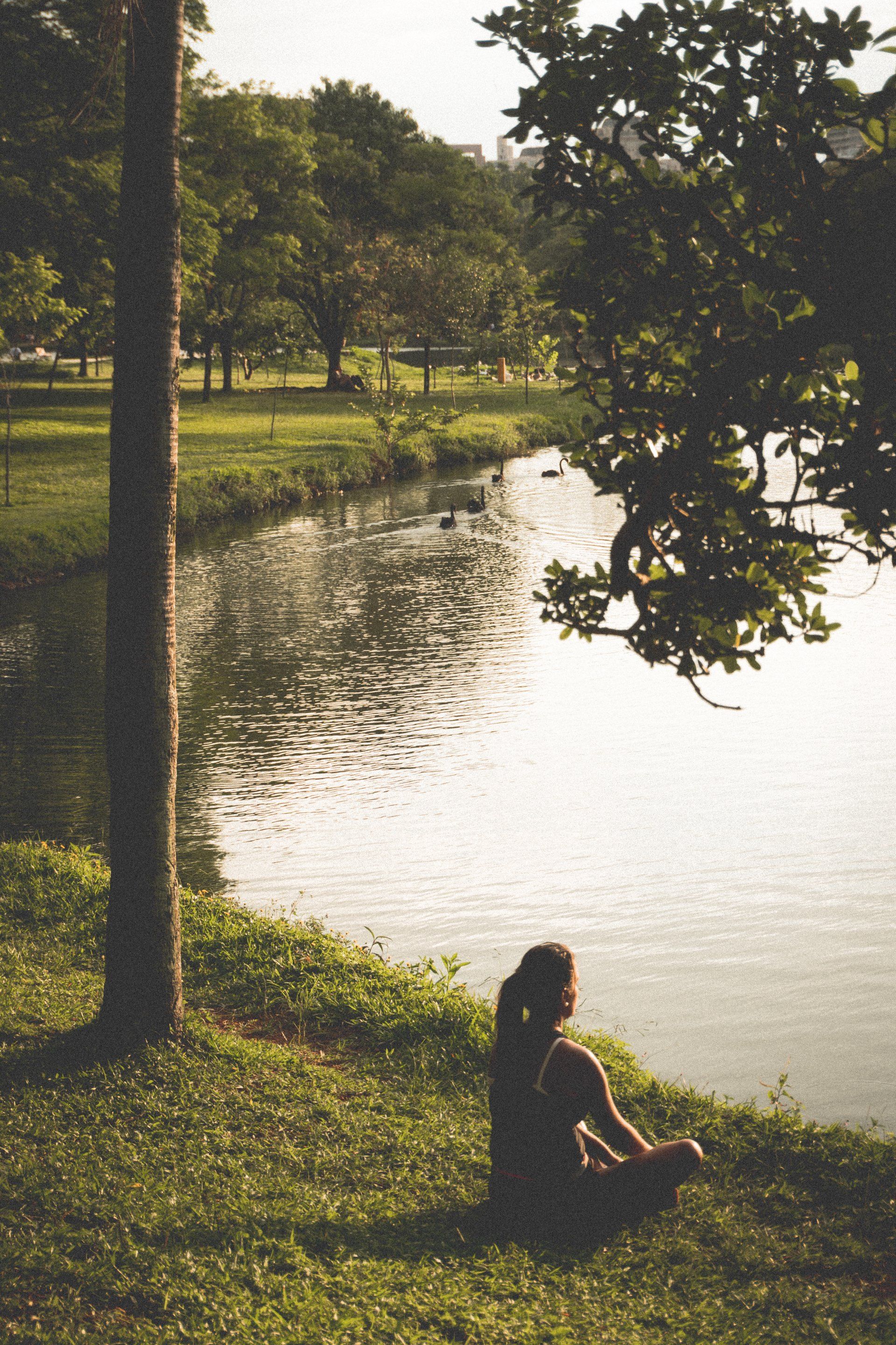 beautiful ponds
