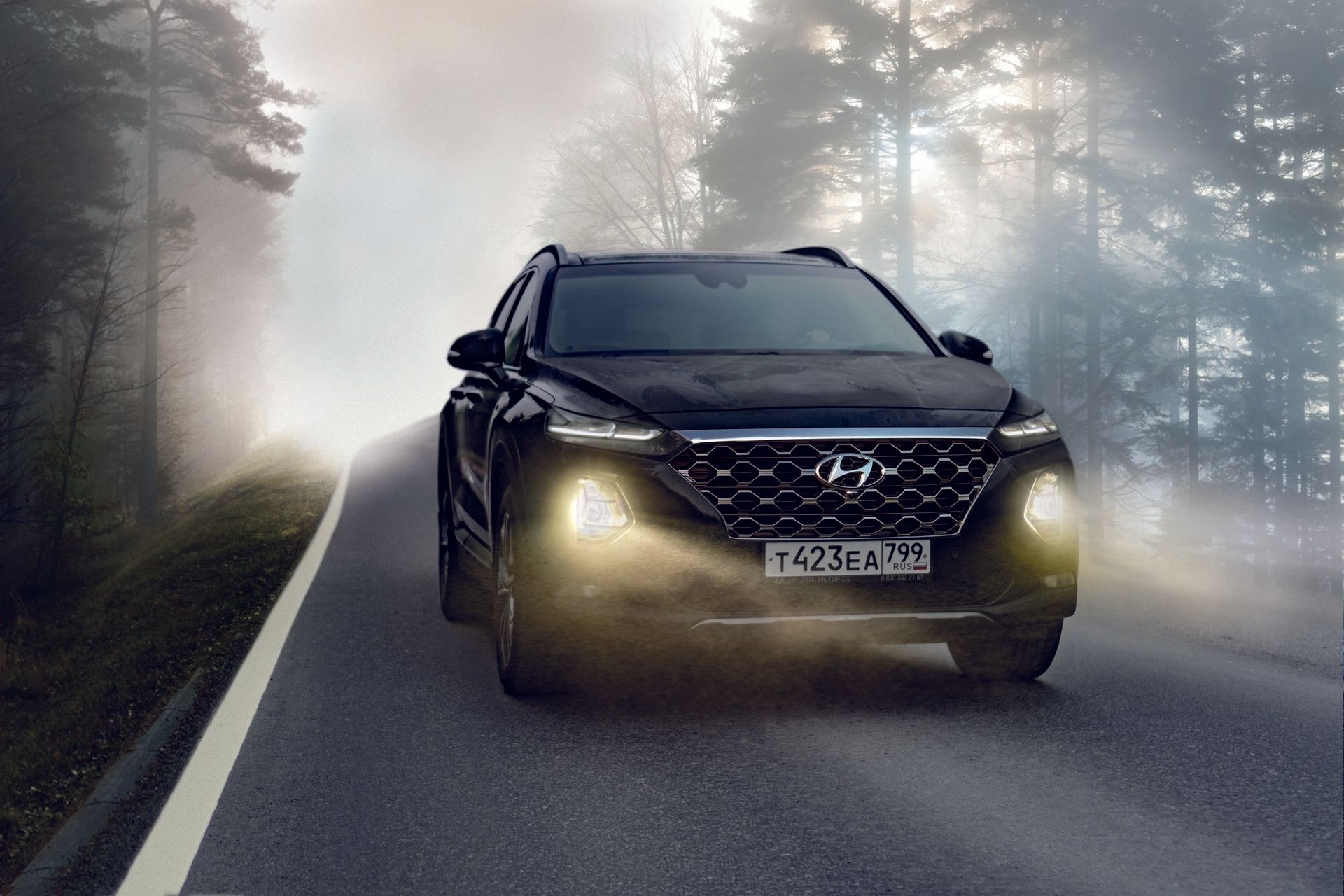 Black SUV driving on a foggy road through a forest; headlights are on.